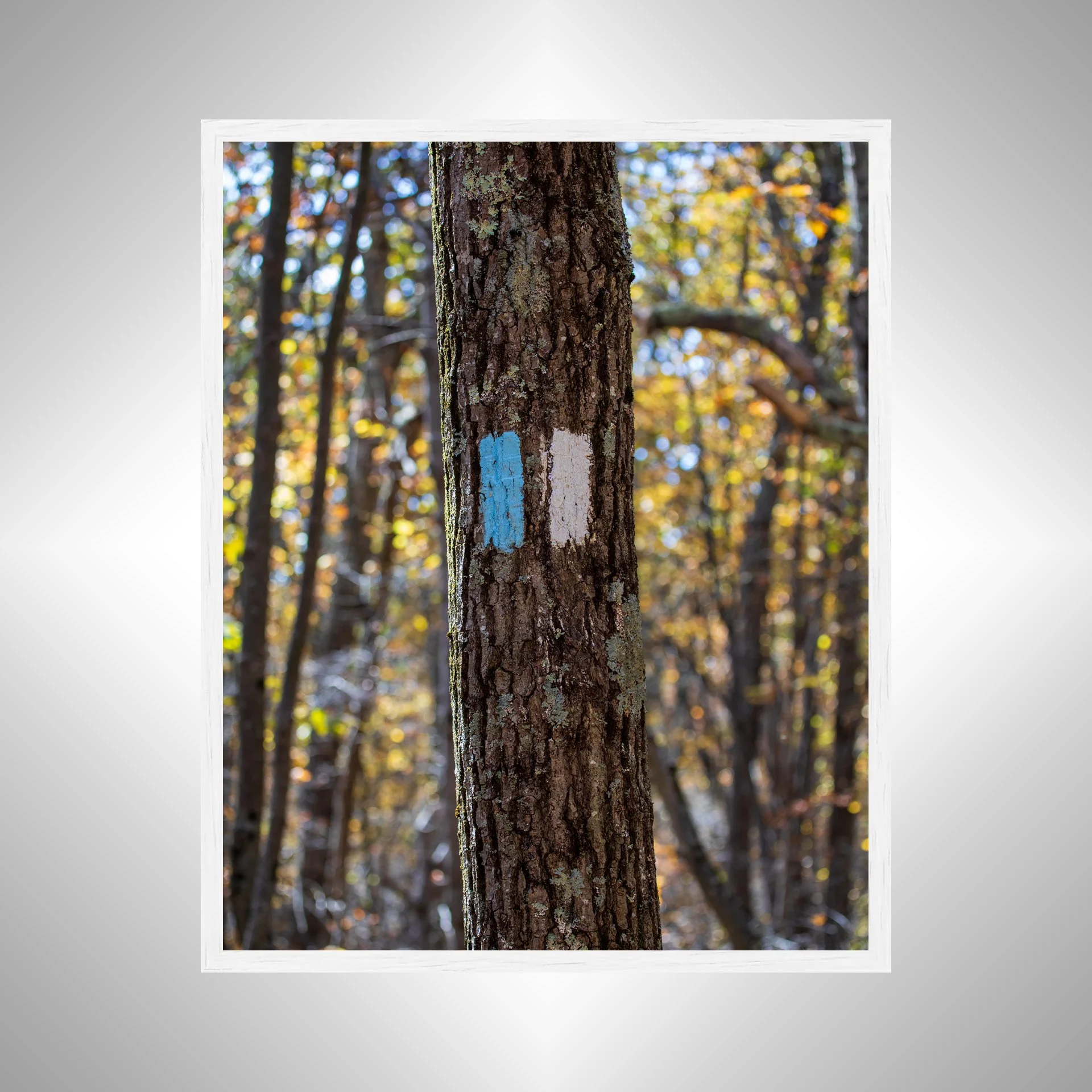 1:1 Appalachian Trail Blaze- White Wood.jpg