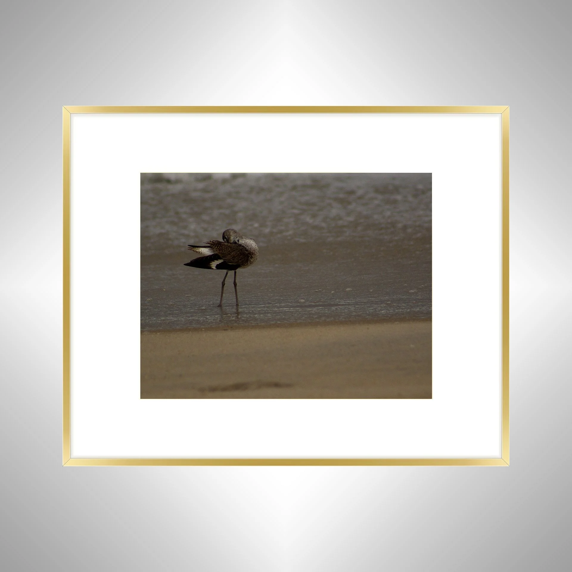 1:1 Willet Cleaning- Gold w: Border.jpg