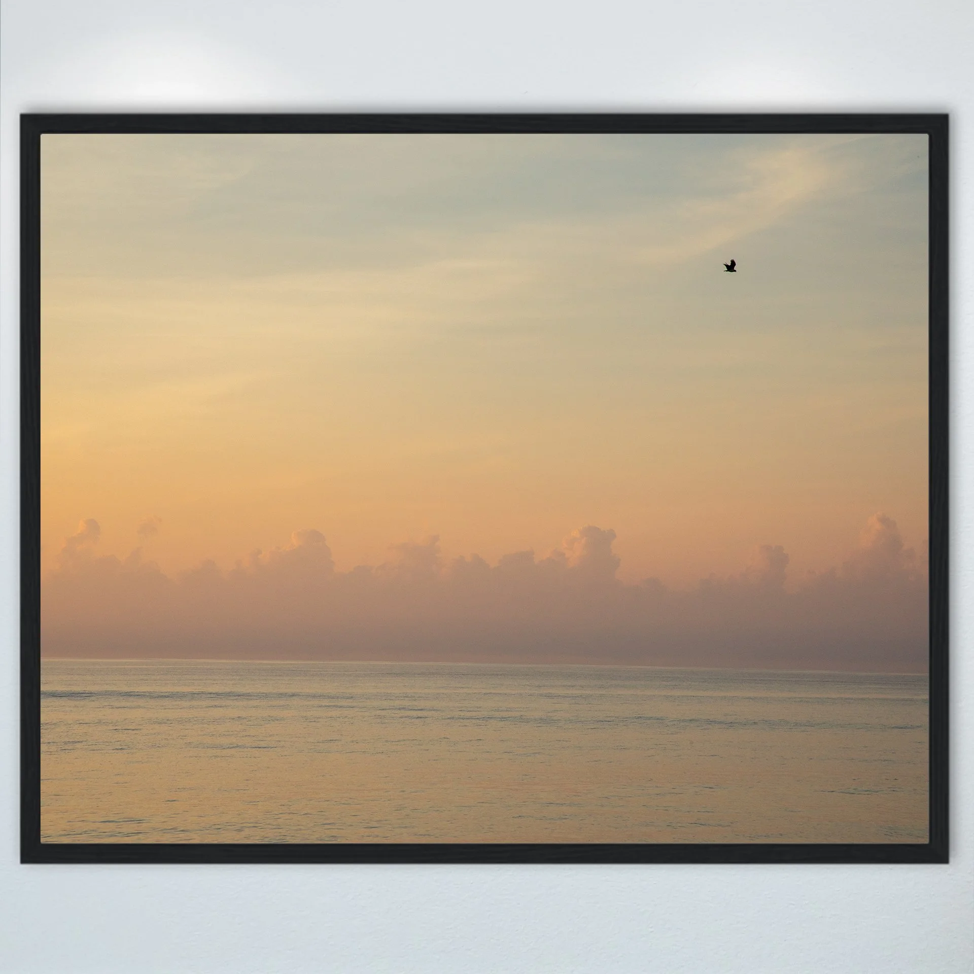 1:1 Clouds on the Horizon with Seagull- Wood.jpg