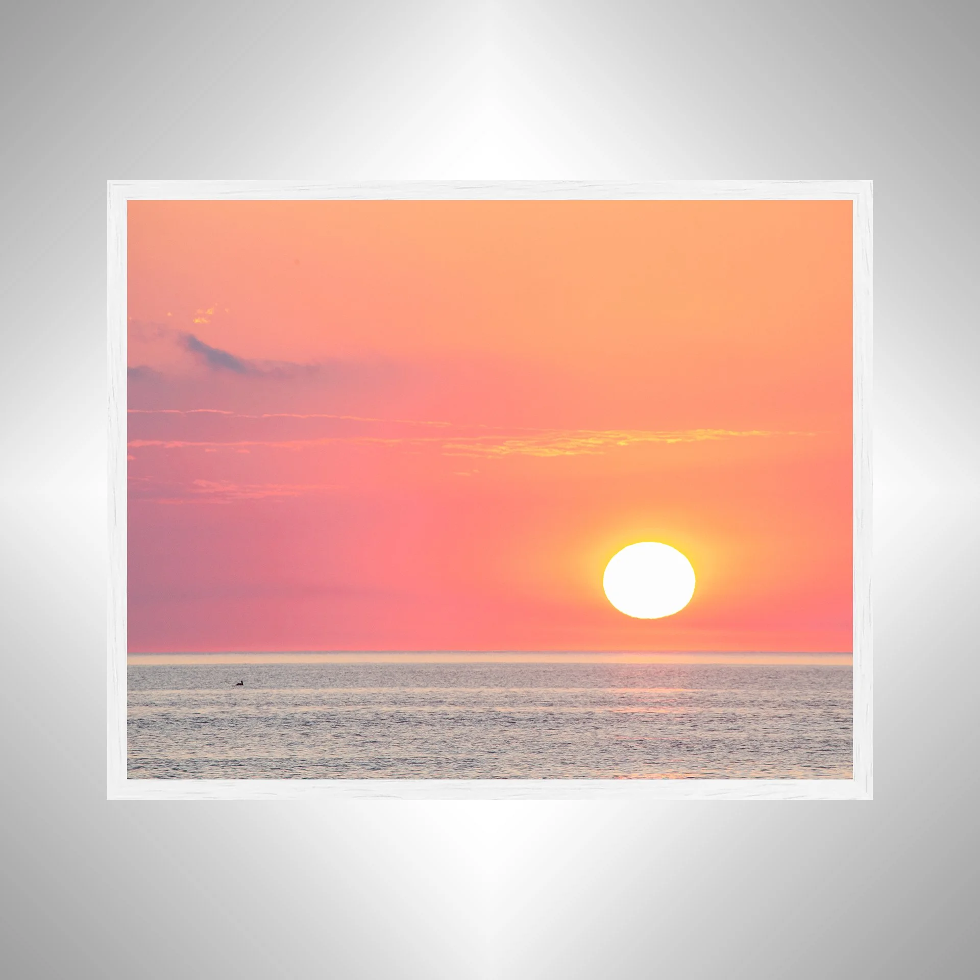 1:1 Pelican Watching Sunrise (Landscape)- White.jpg