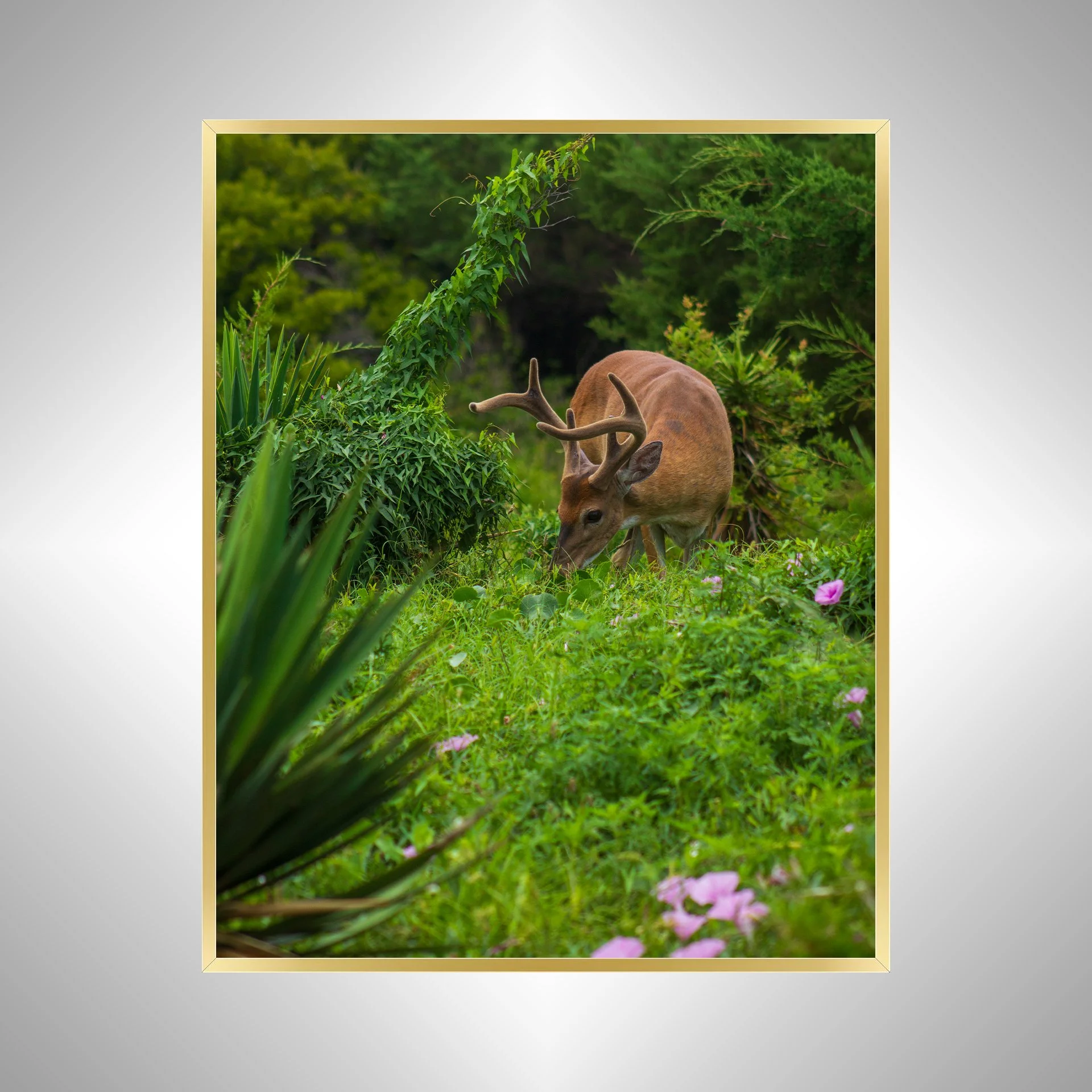 1:1 Hatteras Deer Antlers- Gold Metal.jpg