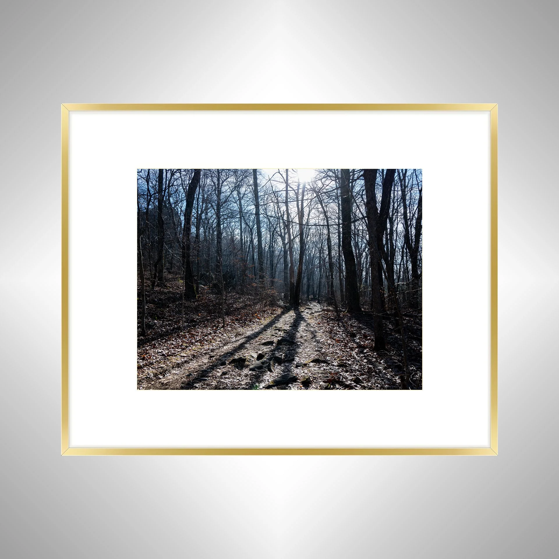1:10 Shenandoah National Park Trail- g wb.jpg