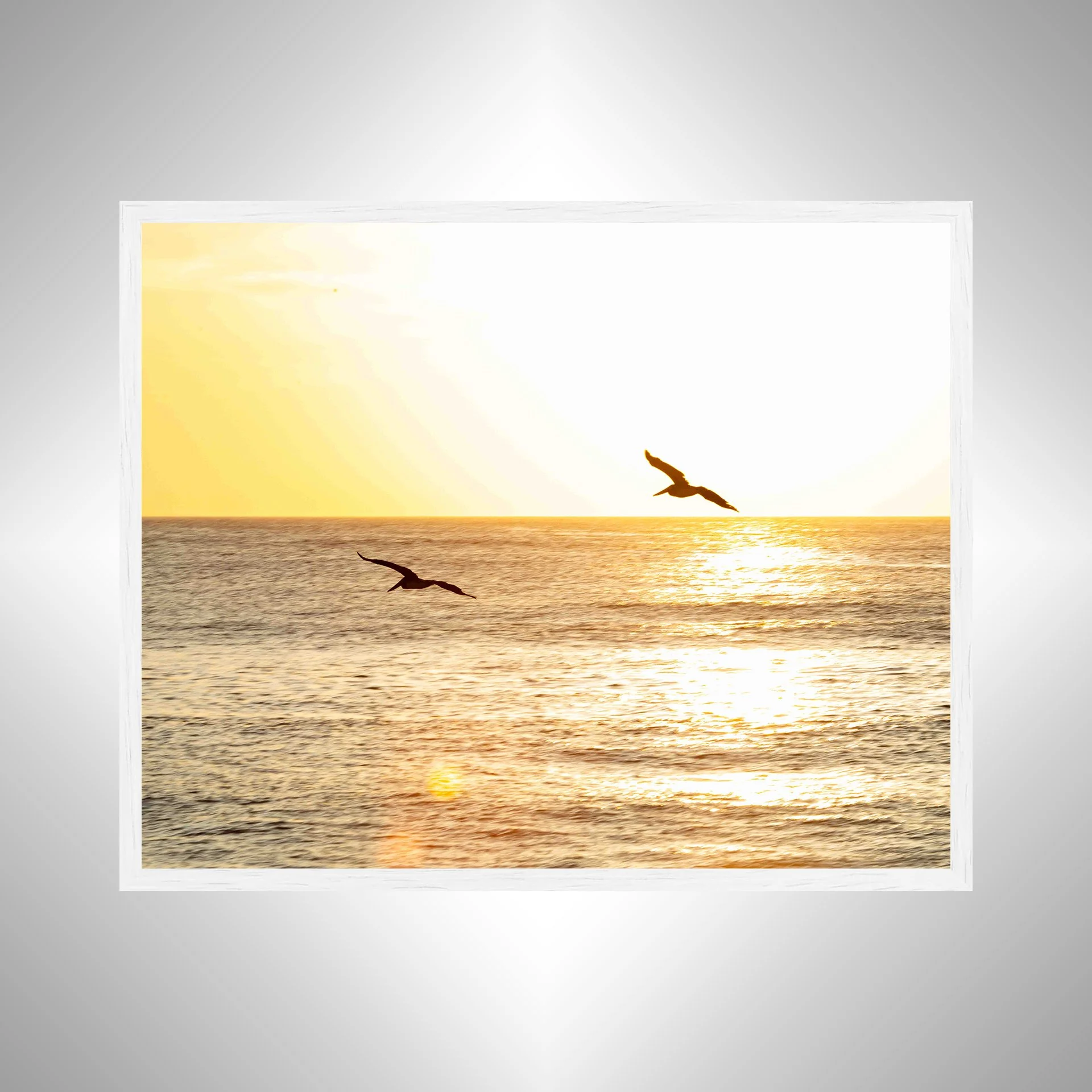 1:10 Gliding to the Sunrise- White.jpg