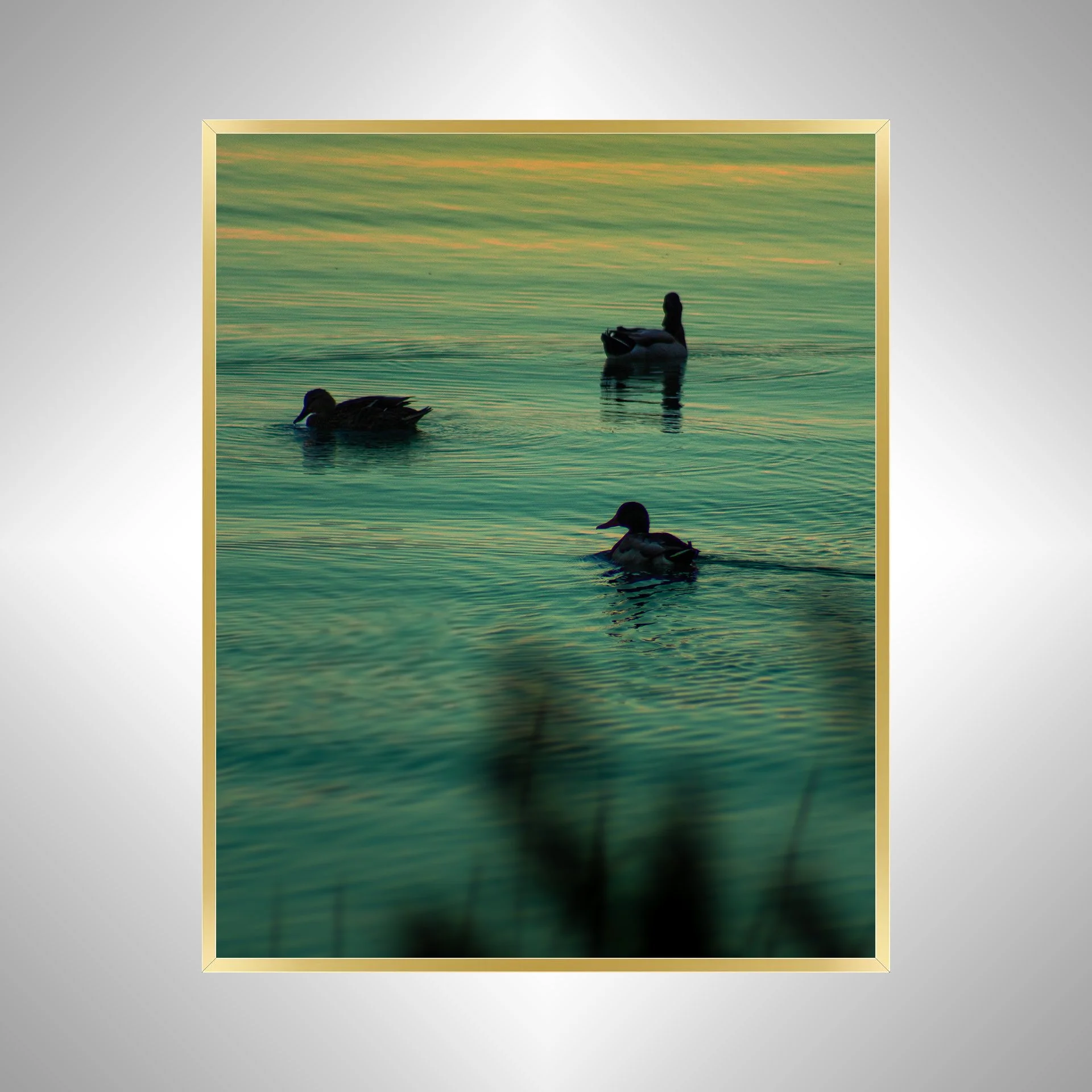 1:1 Duck Family Swimming towards Sunset- Gold Metal.jpg