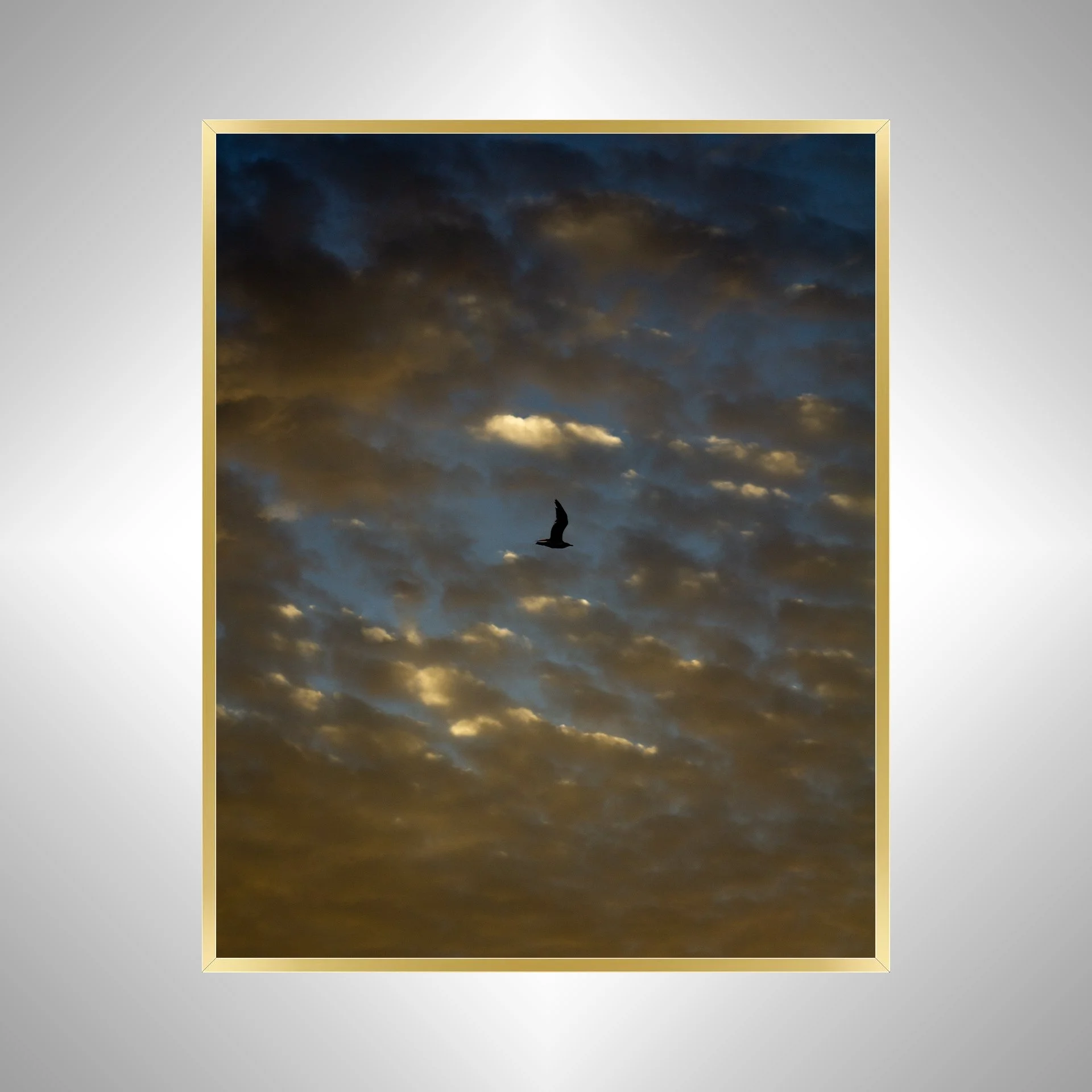 1:1 Golden Blue Cloudy Skies & Seagull- Gold Metal.jpg