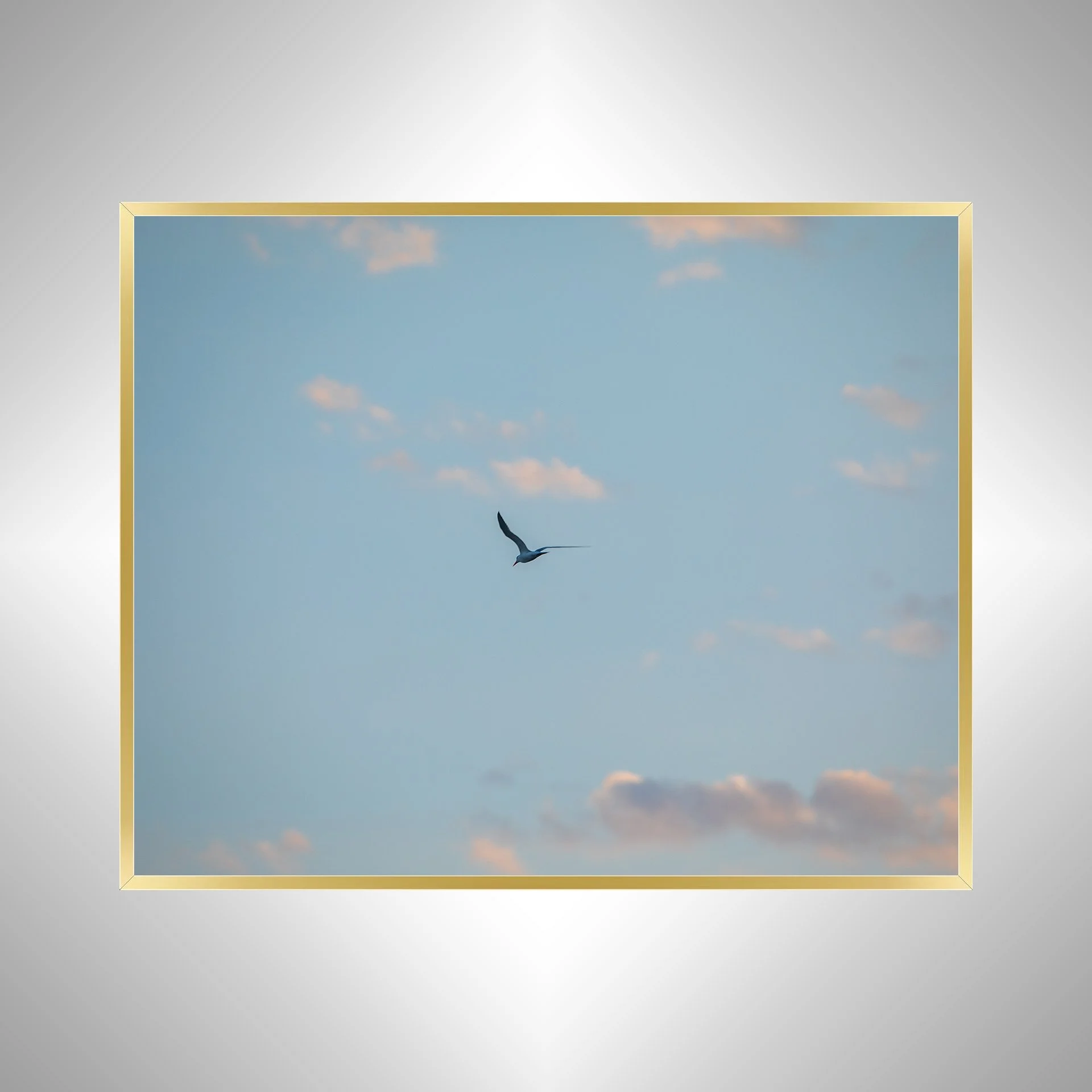 1:1 Seagull + Pink Clouds- Gold.jpg