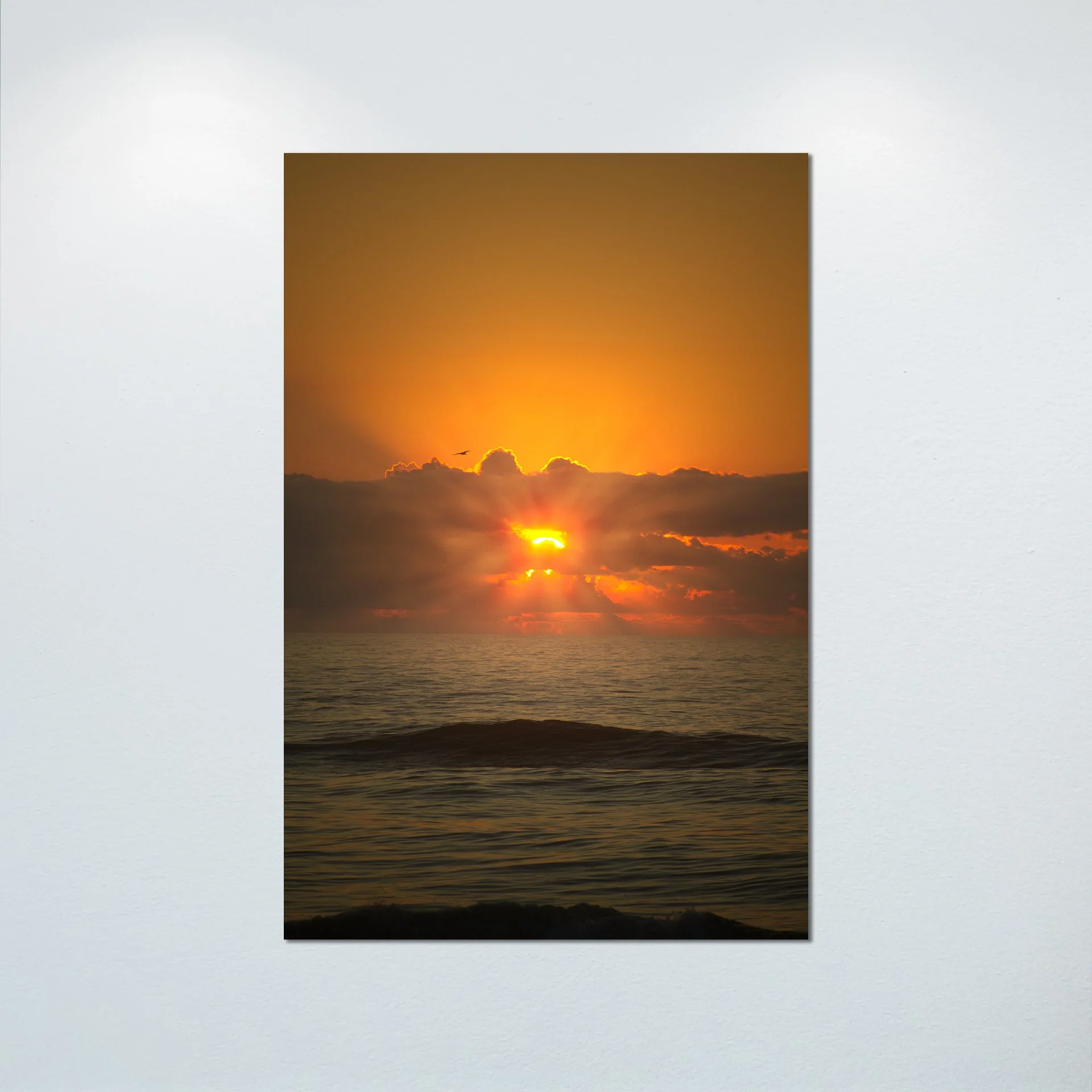 1:1 Sea + Gull Sunrise Flare- Poster & Canvas.jpg