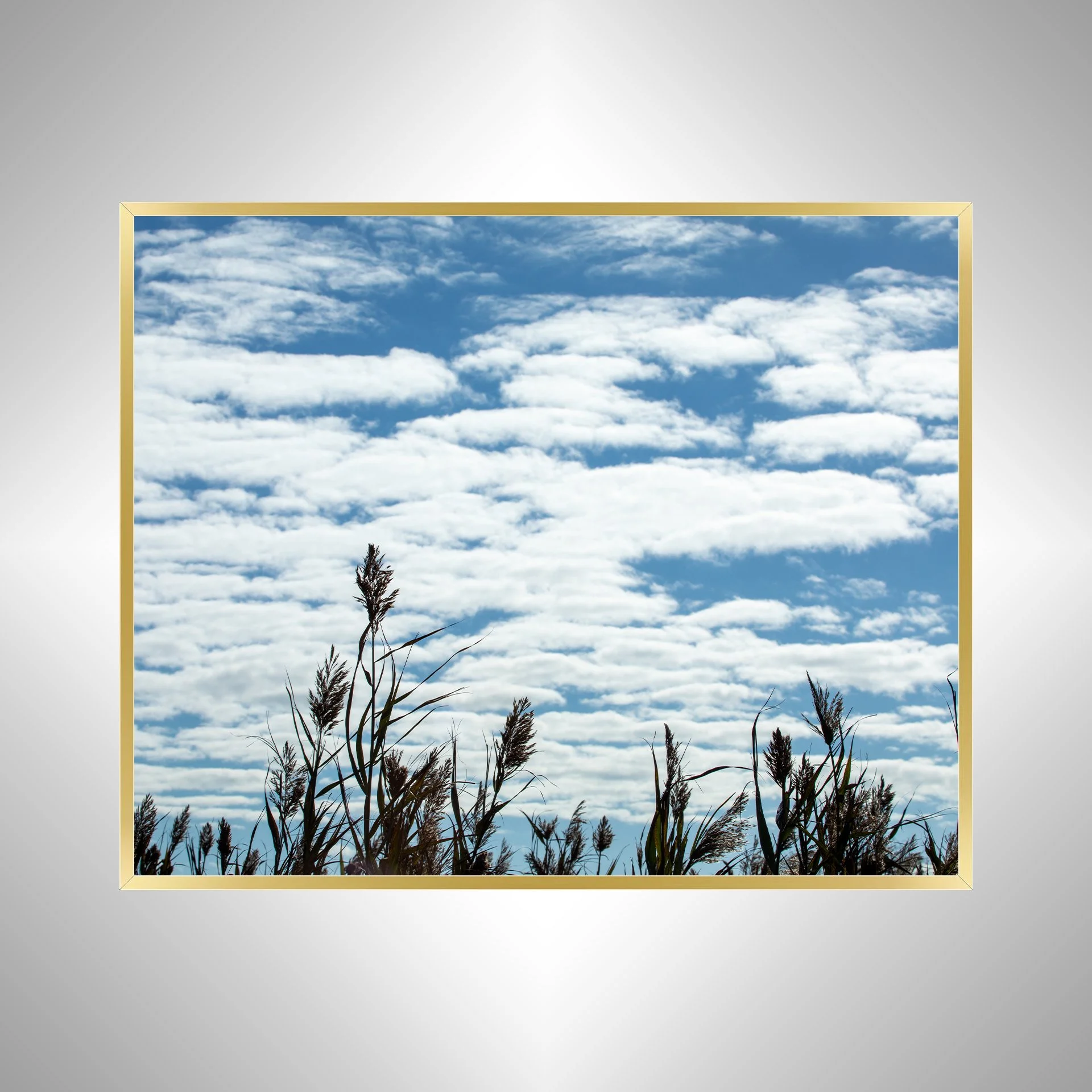 1:1 Back Bay Reeds & Cloudy Sky- Gold Metal.jpg