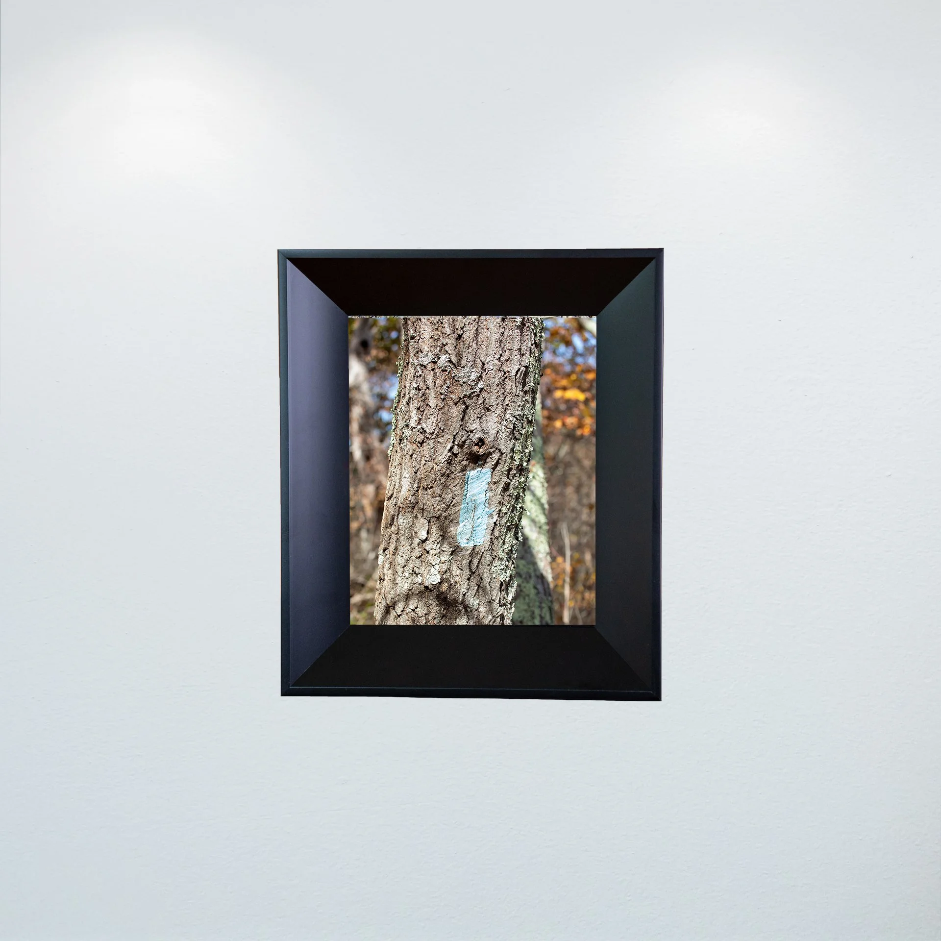 1:10 Appalachian Trail Blaze- Mini.jpg