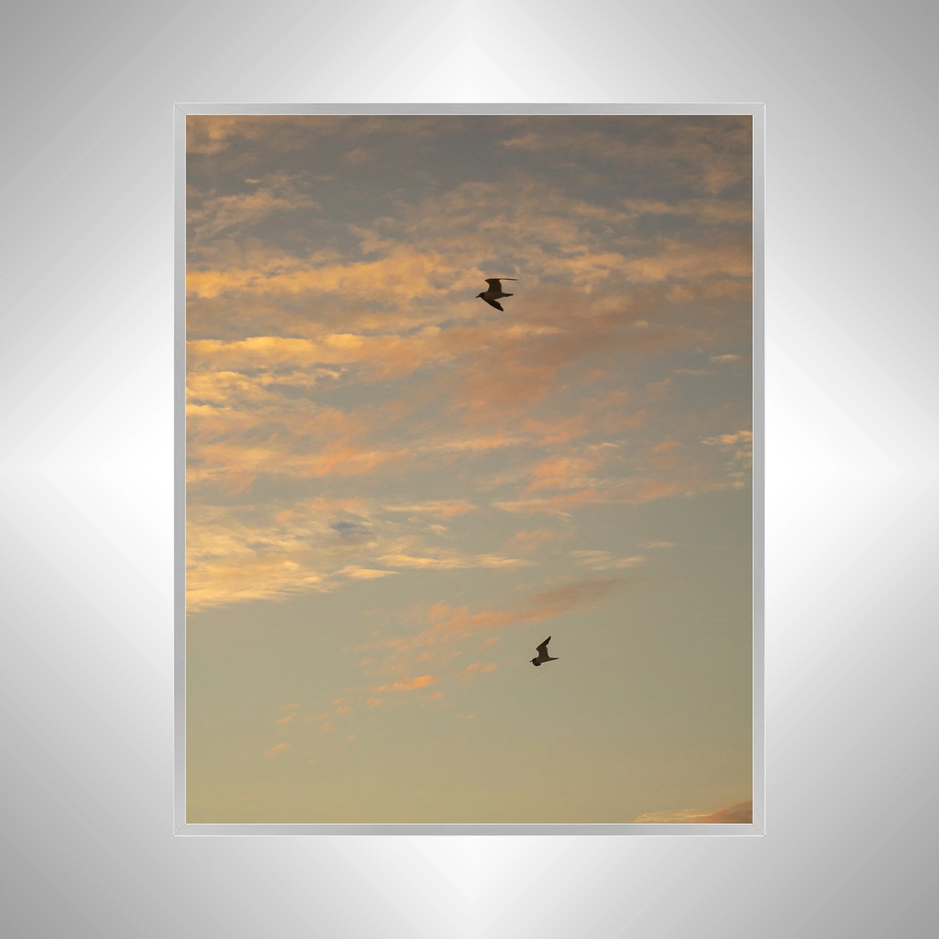 1:10 Love Birds (Seagulls)- Silver.jpg