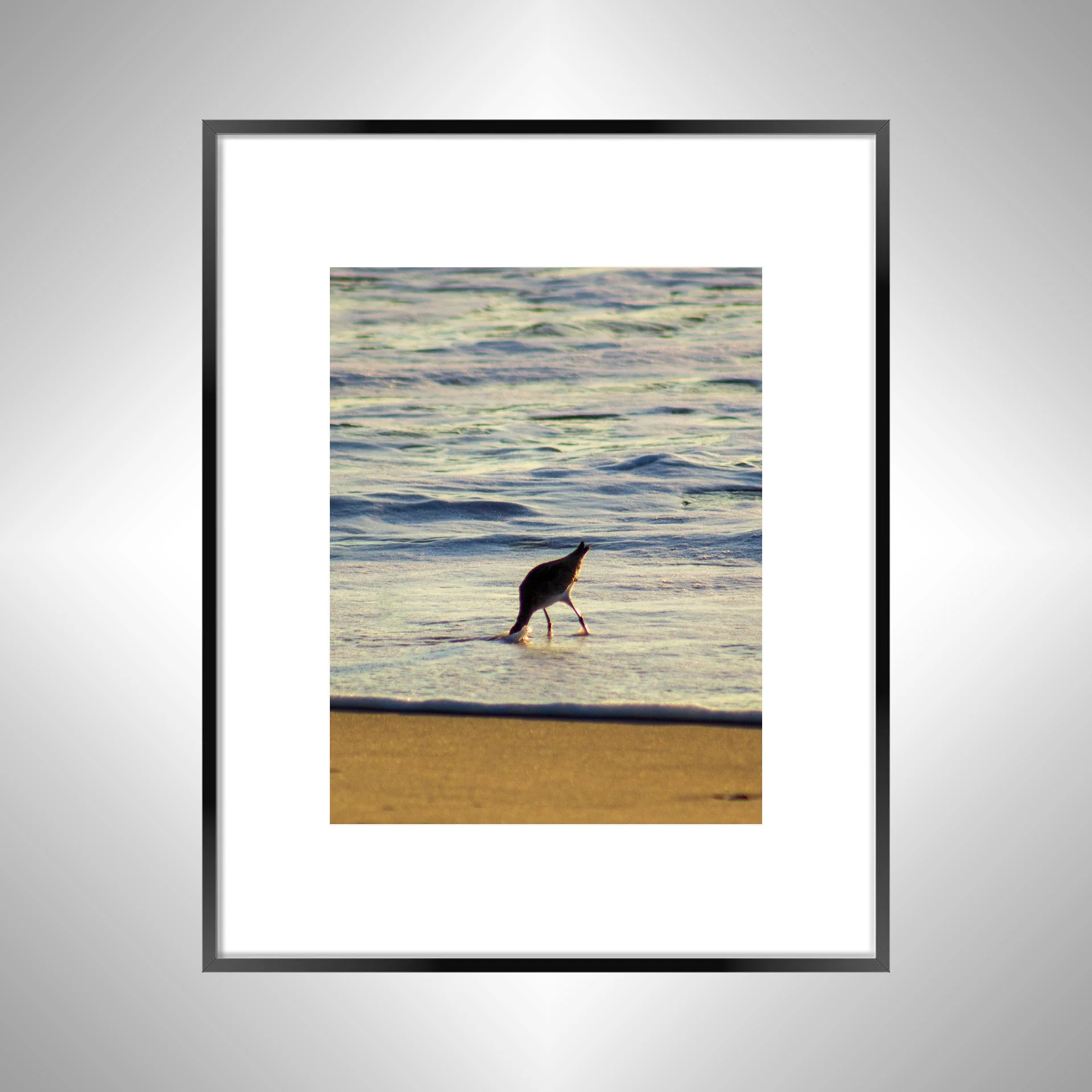 1:1 Willet Hunting- Black w: Border.jpg