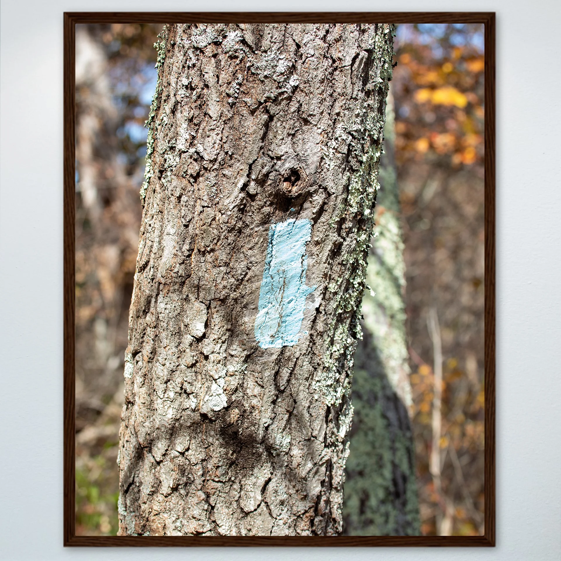 1:10 Appalachian Trail Blaze- Wood.jpg