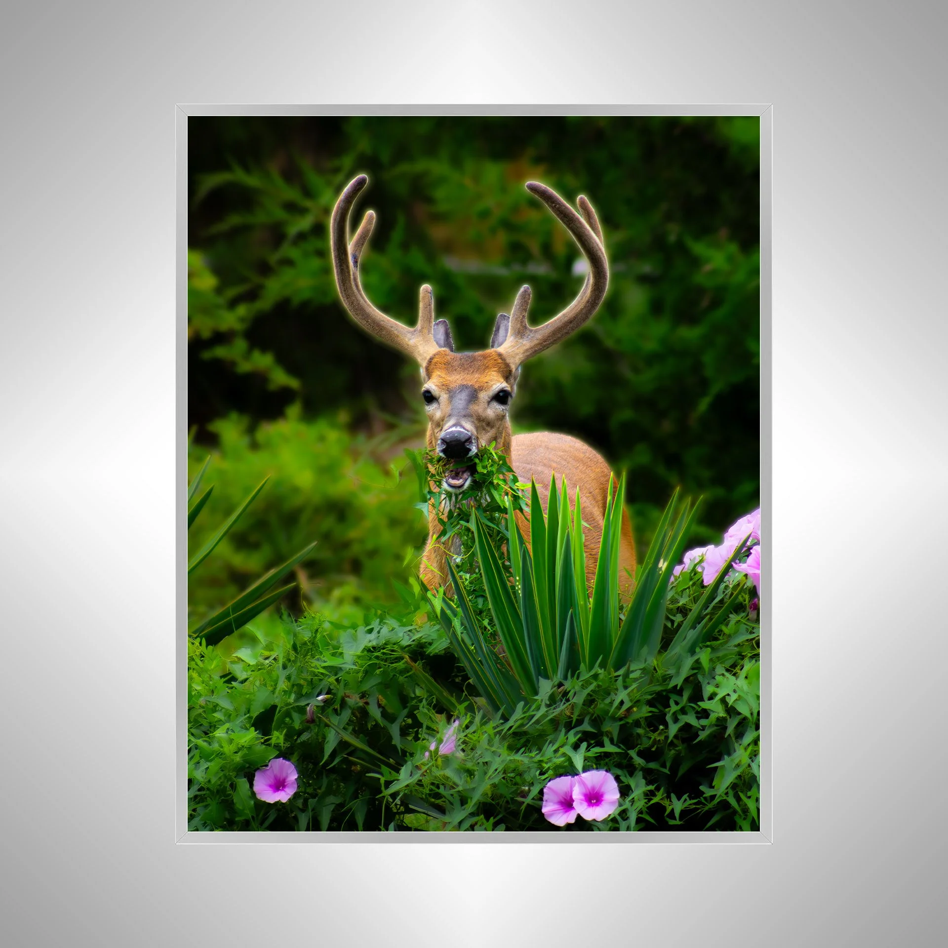 1:1 Deer Dinner in Hatteras- Silver Metal.jpg