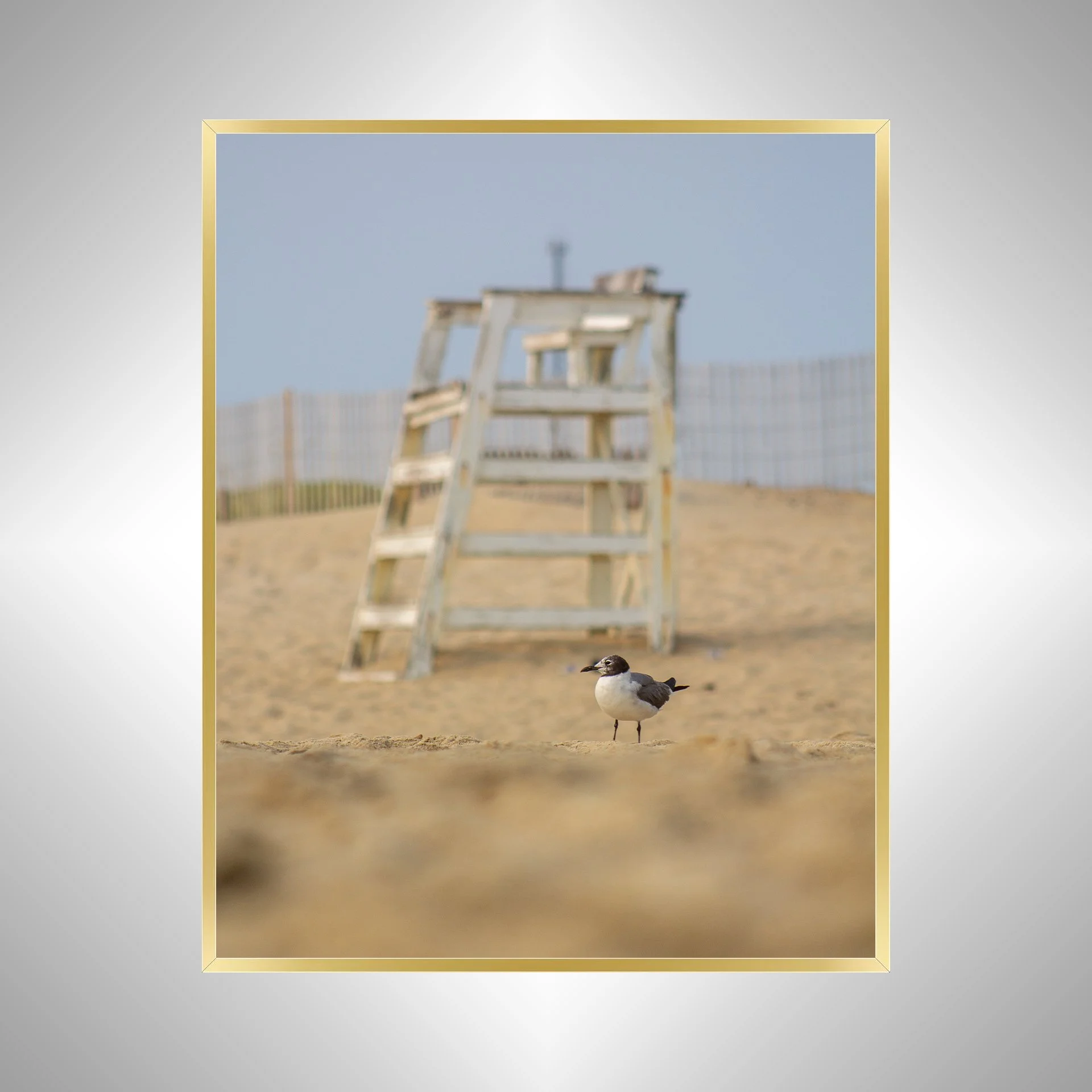 1:1 Lifeguard Gull- Gold Metal.jpg