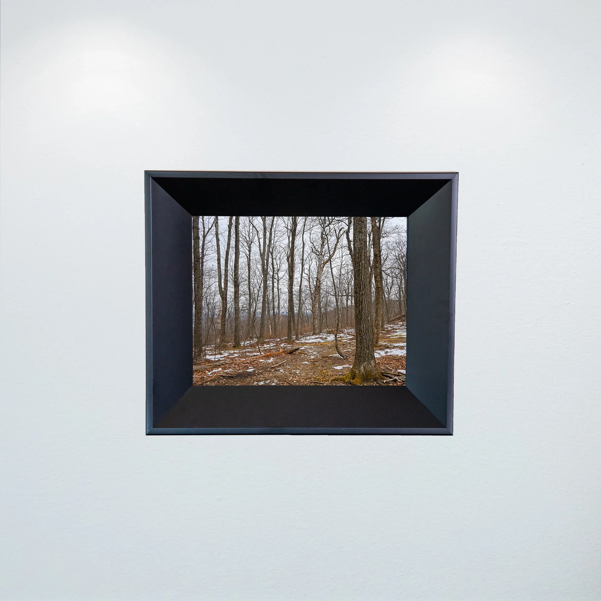 1:10 Nellysford Mountain Trees in Winter- Mini.jpg