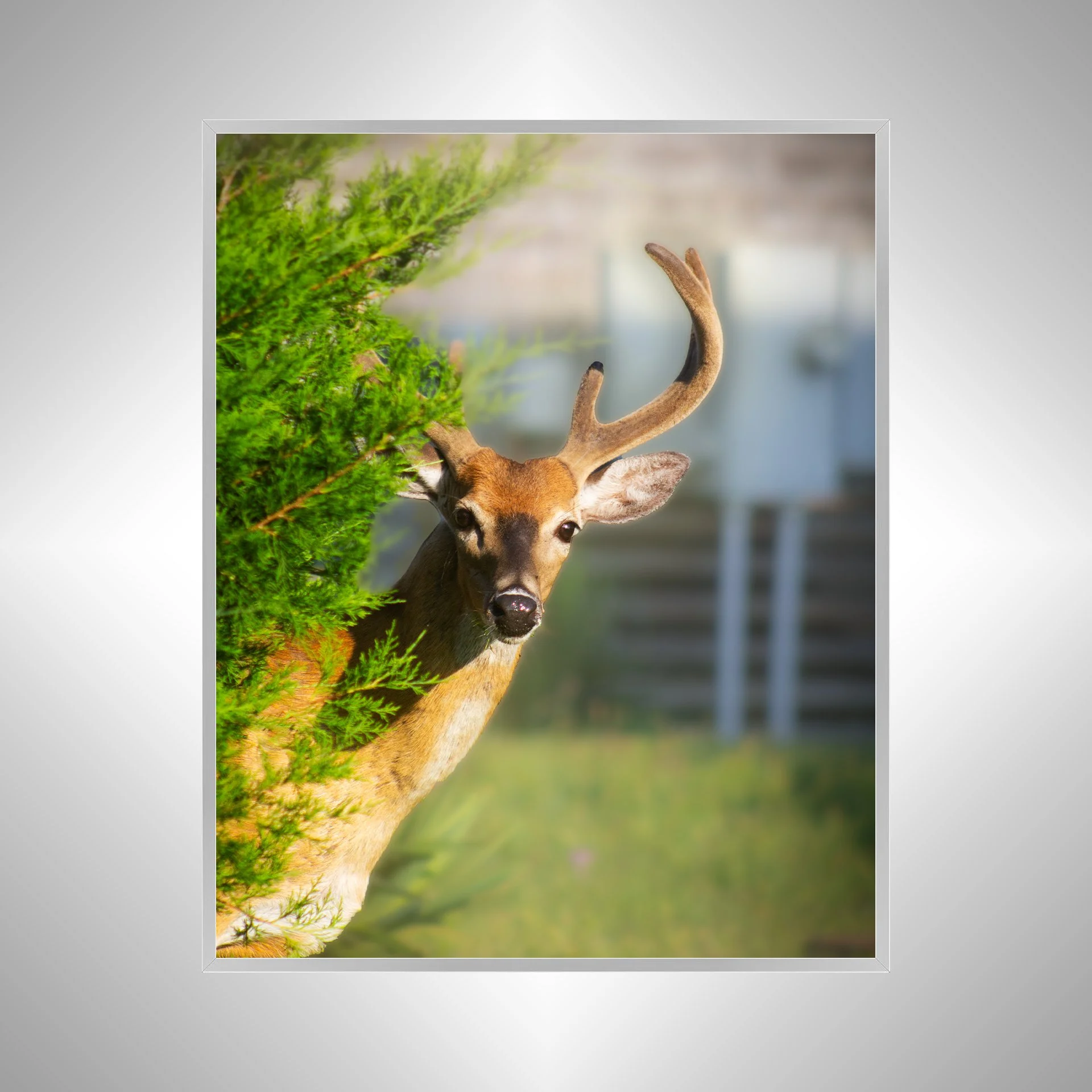 1:1 Deer Peer- Silver Metal.jpg