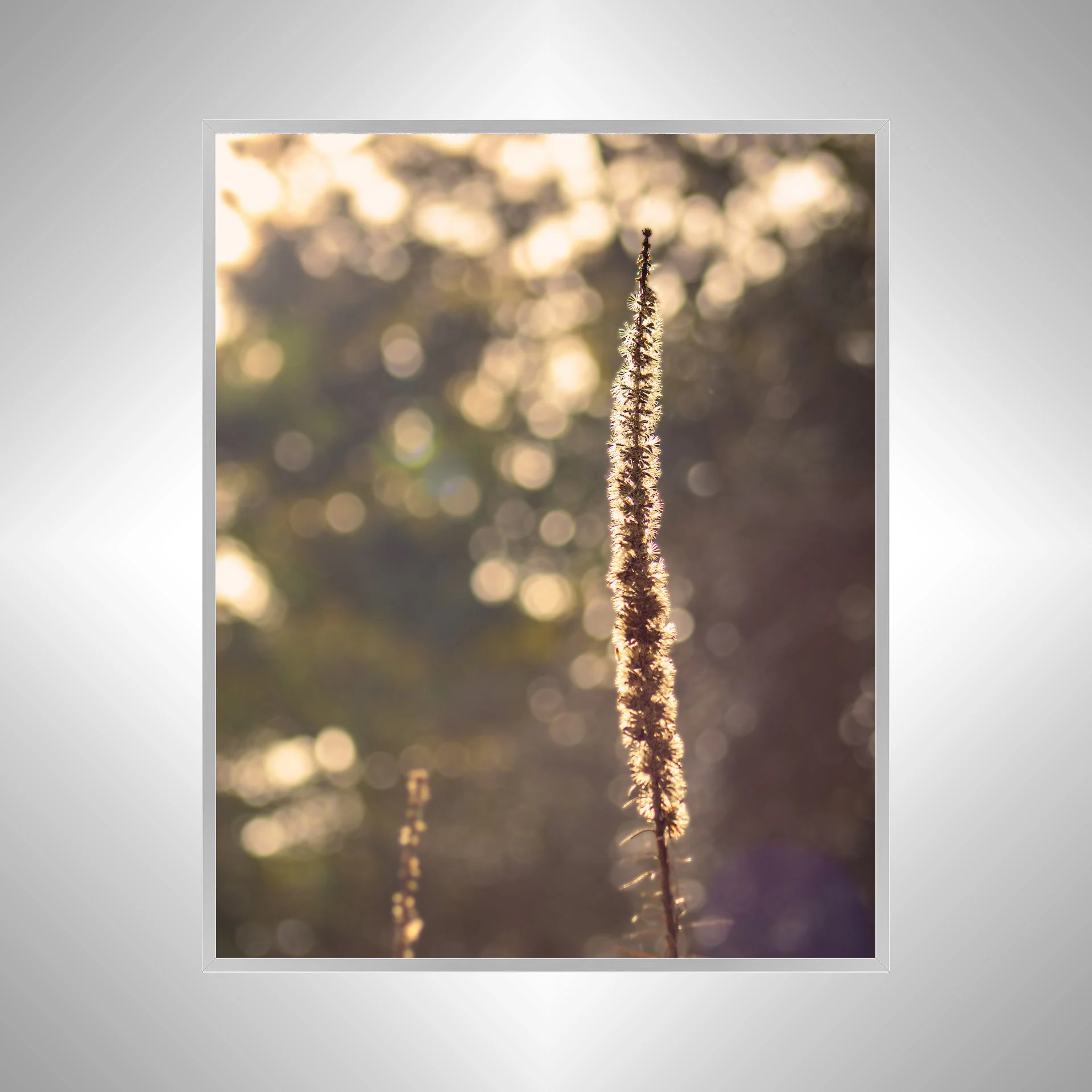 1:1 Foxglove in Winter- Silver Metal.jpg