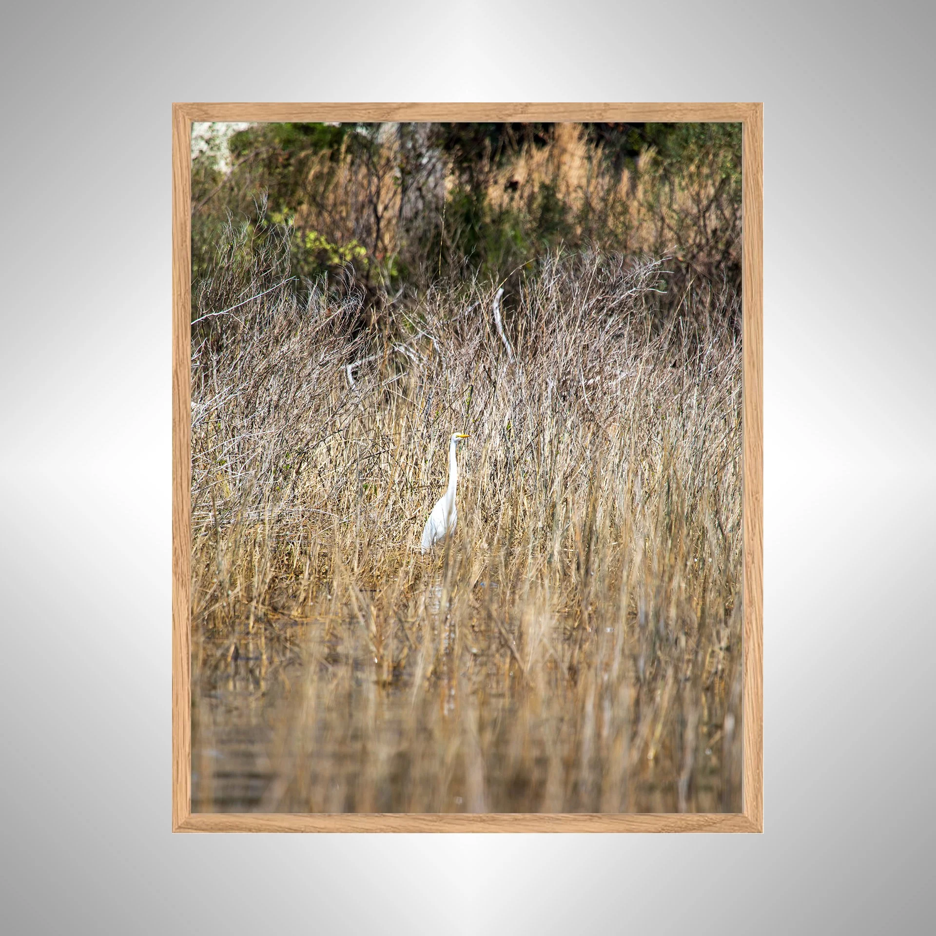 1:1 Wading Egret- White copy NATTY.jpg