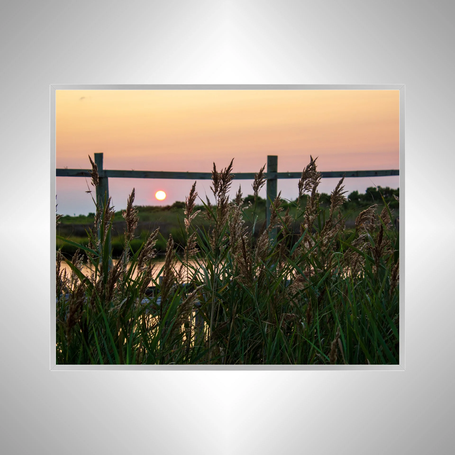 1:1 OBX Sound Sunset with Sea Oats- Silver.jpg