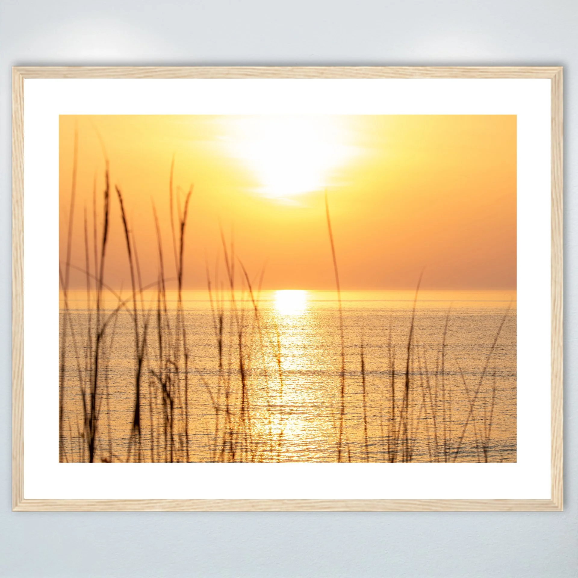 1:1 Sunrise thru Dunegrass- Wood.jpg