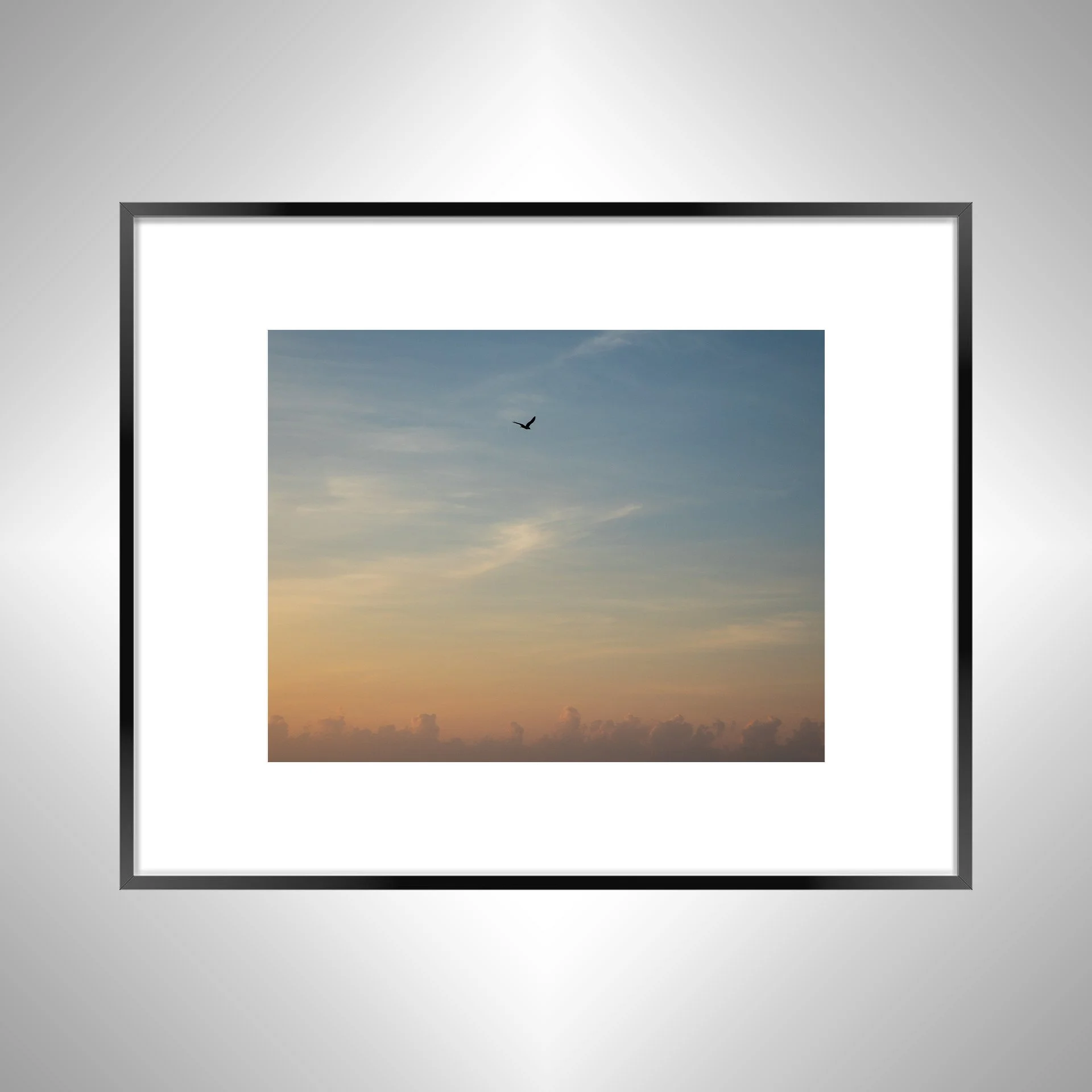 1:1 Seagull infront of Sunrise Clouds- Black w: Border.jpg