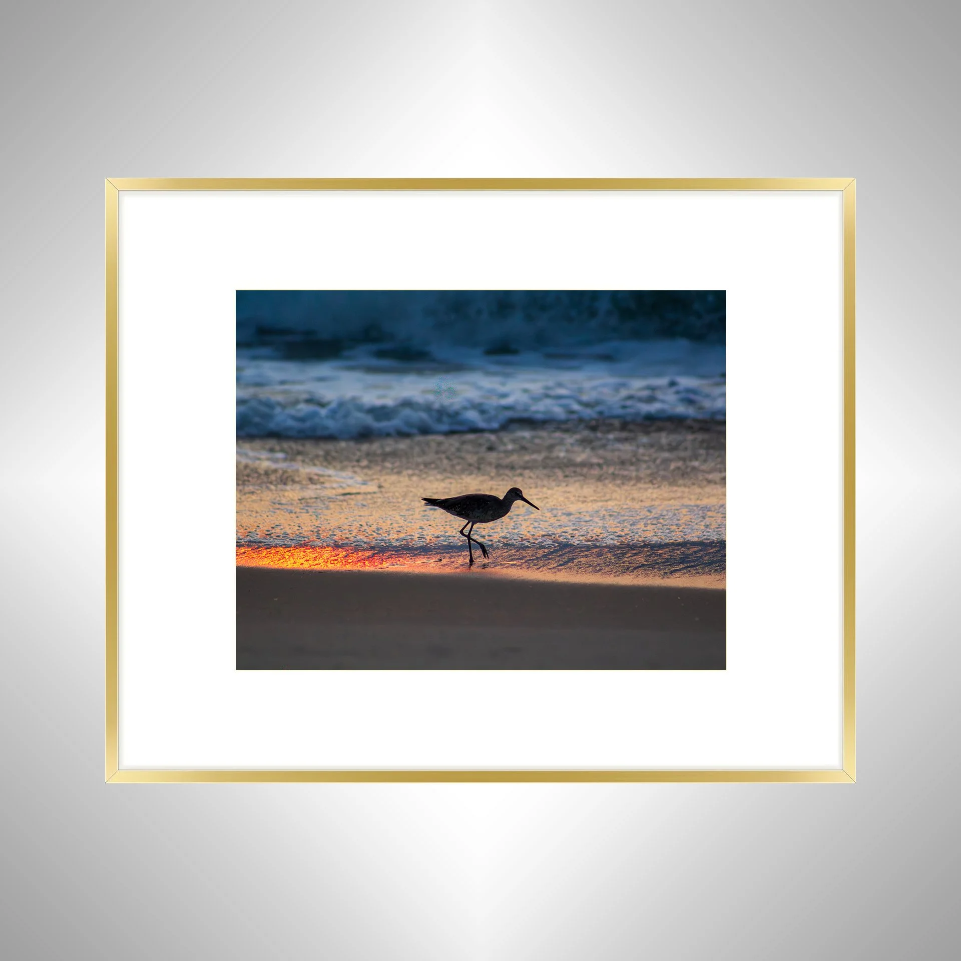 1:1 Willet Step- Gld w: Border.jpg