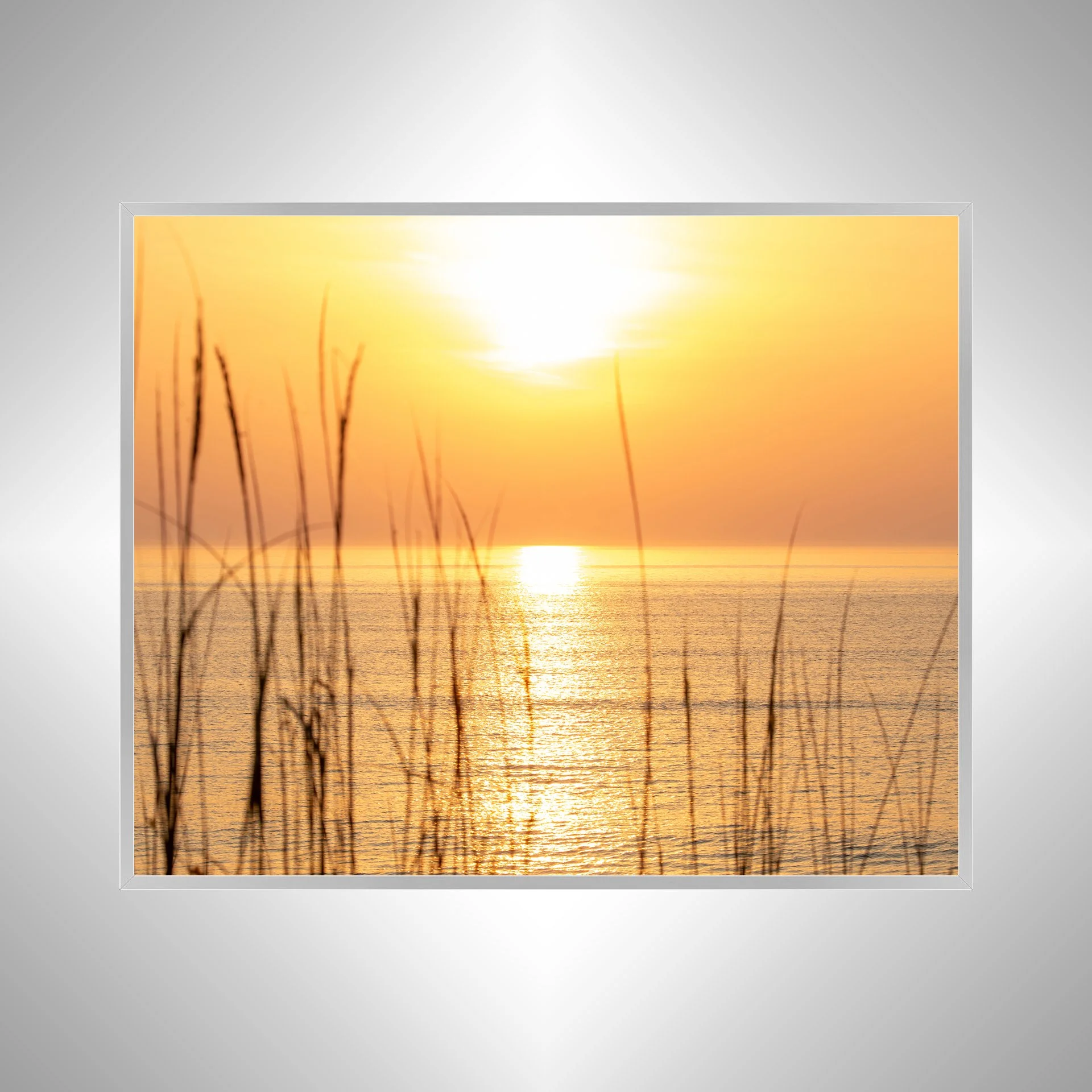 1:1 Sunrise thru Dunegrass- Silver.jpg