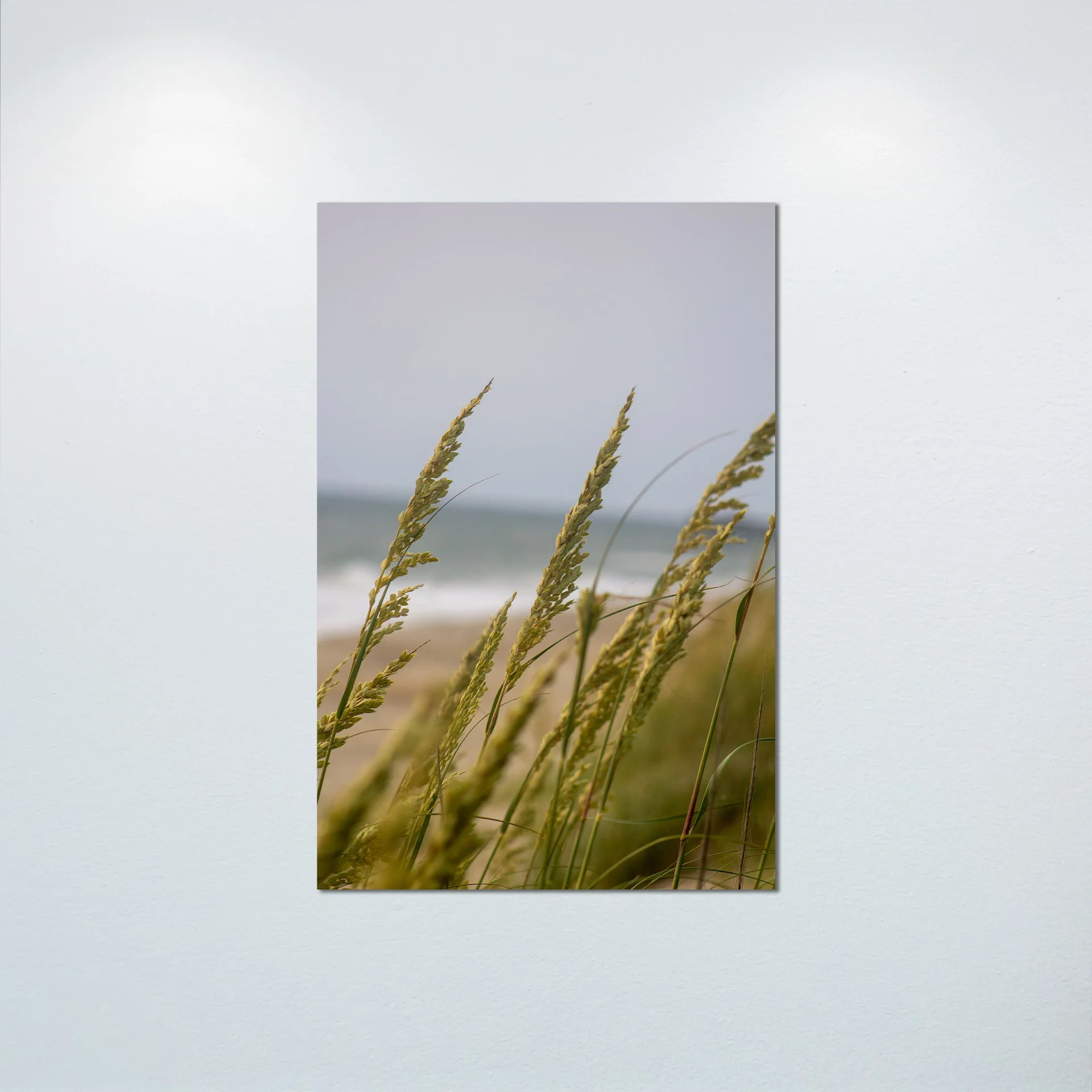 1:1 Rodanthe Dune Oats Group- Poster & Canvas.jpg