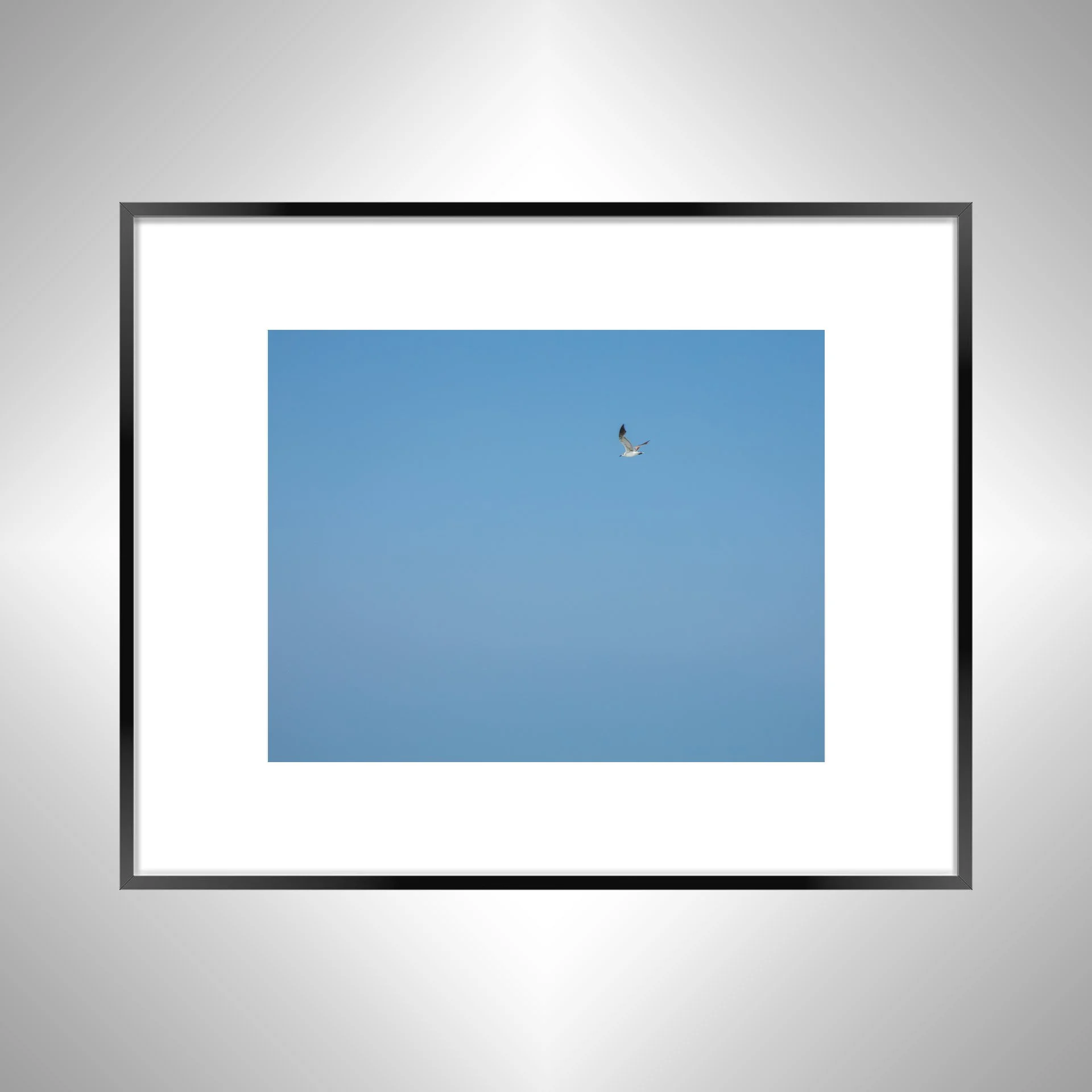 1:10 Blue Sky Seagull- Black w: Border.jpg