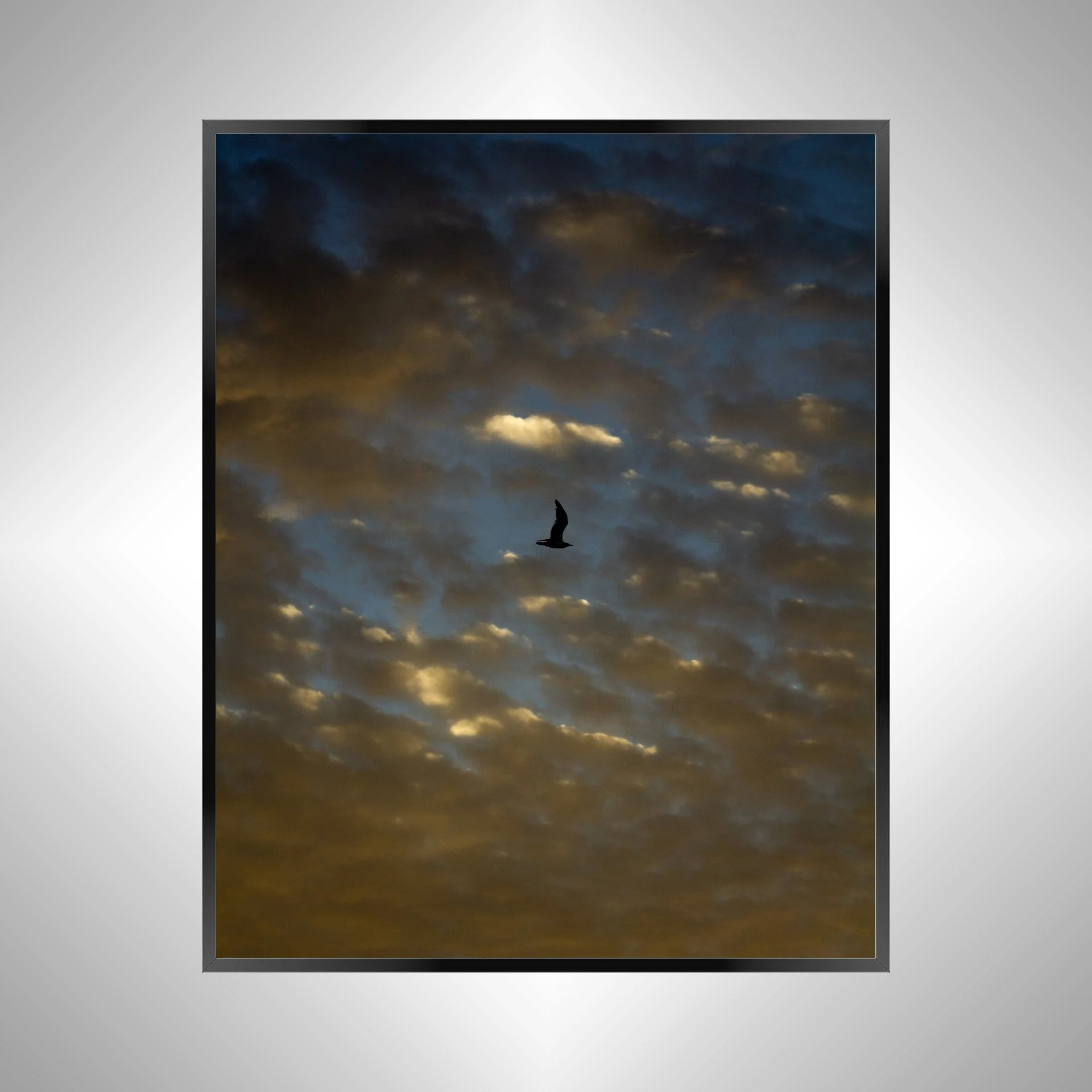 1/1 Golden Blue Cloudy Skies & Seagull