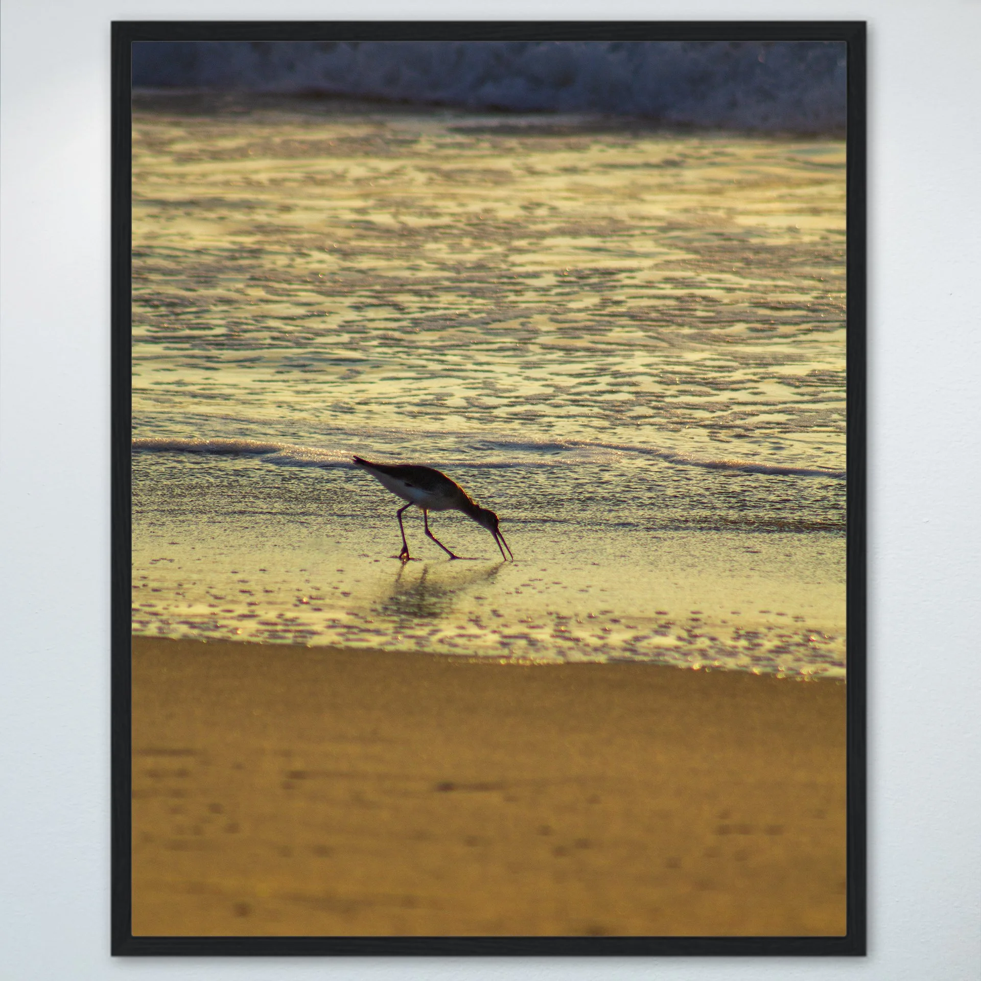1:1 Willet Eating at Sunrise- Wood.jpg