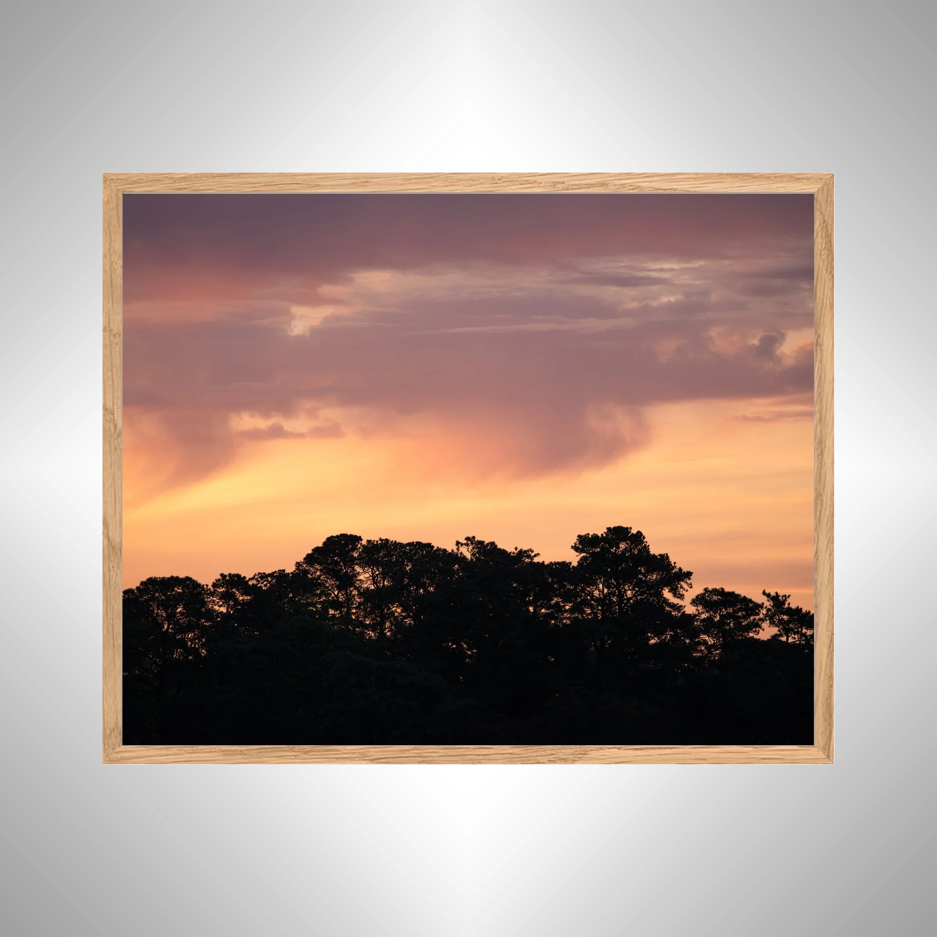 1_10 Orange & Gold Sunrise Sky Behind Trees- White NATTY.jpg