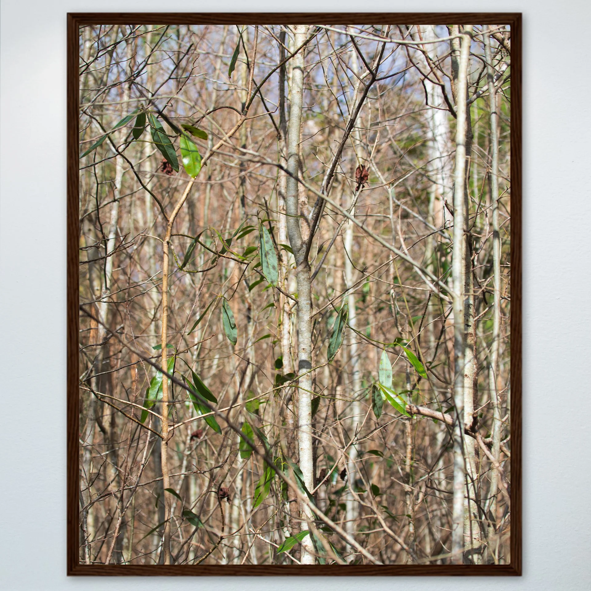 1:10 Hermitage Foliage- Wood.jpg