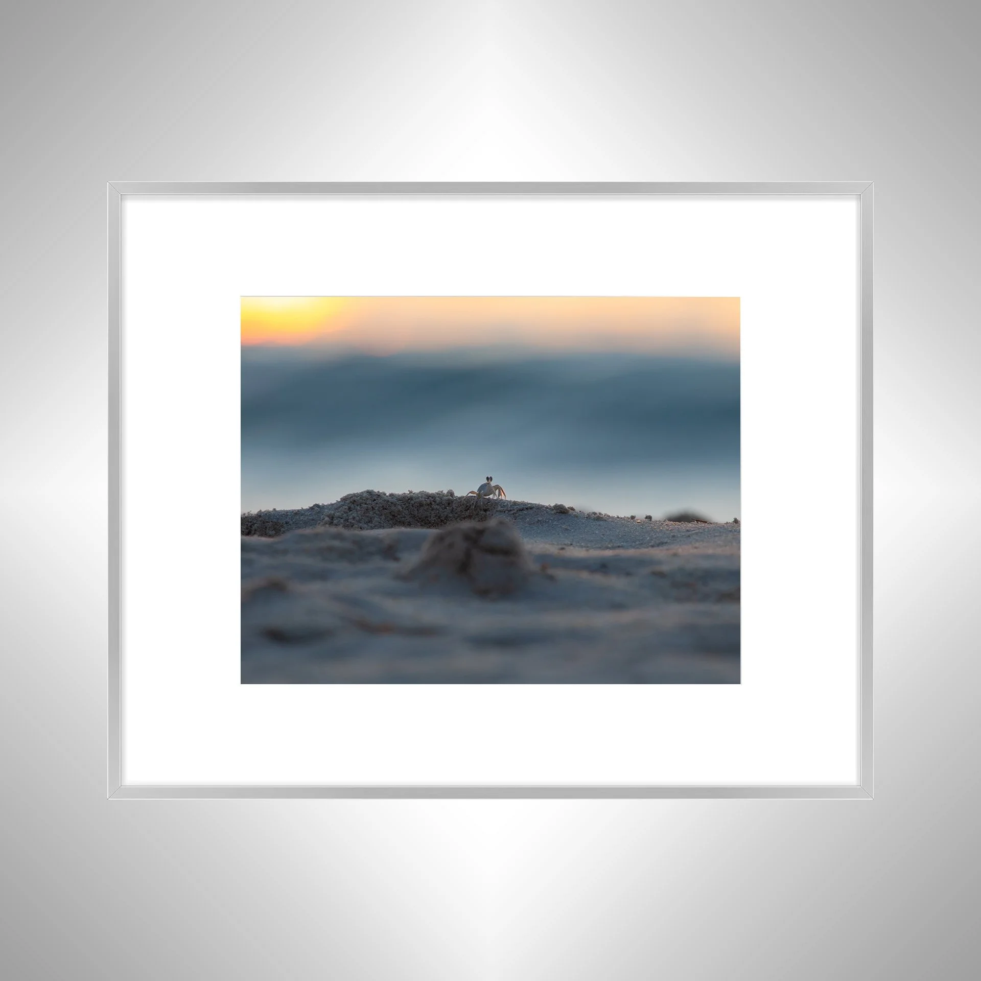 1:10 Ghost Crab Watching Wavebreak in Duck, NC- Silvre w: Border.jpg