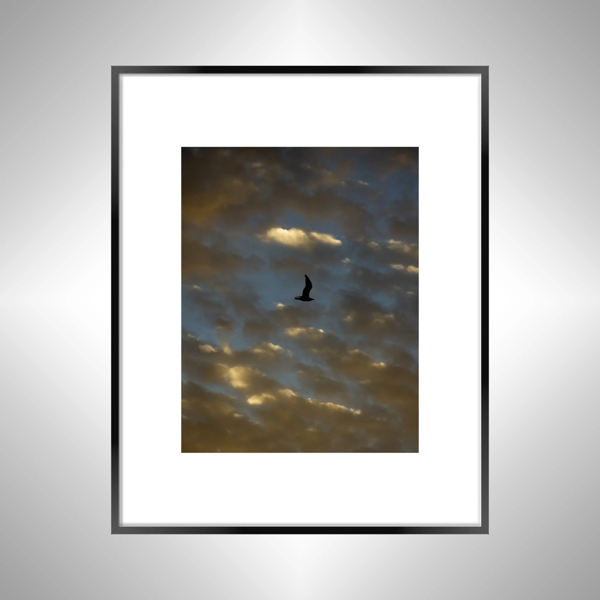 1:1 Golden Blue Cloudy Skies & Seagull- Black Metal w: Border.jpg