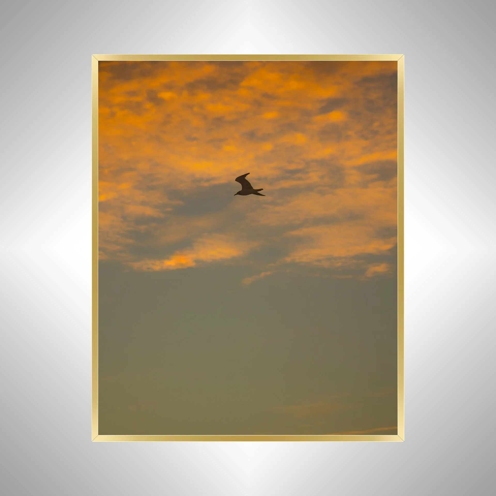 1:1 Seagull Flying with Orange Clouds- Gold.jpg