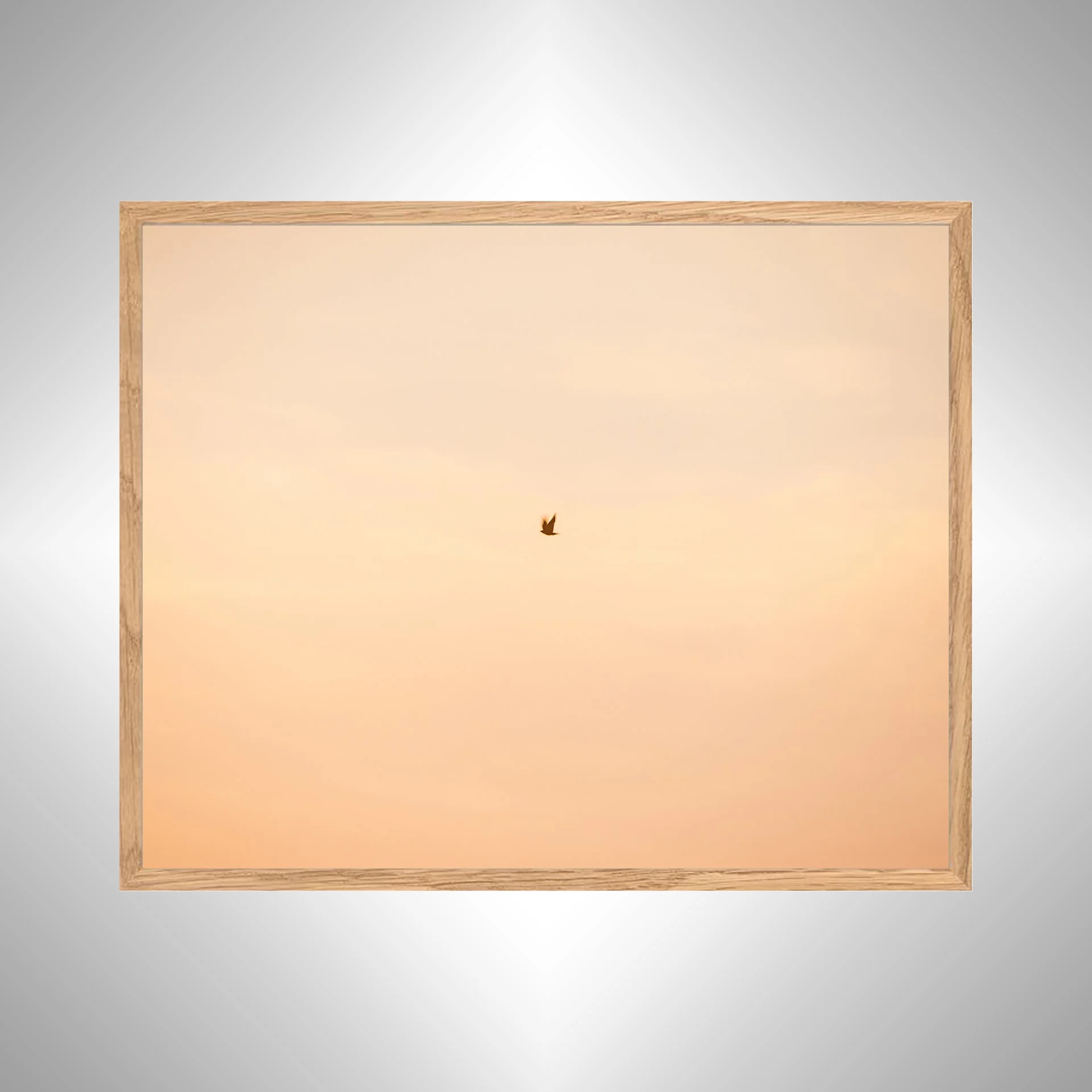 1:1 Slow Shutter Sunrise Seagull- White copy NATTY.jpg
