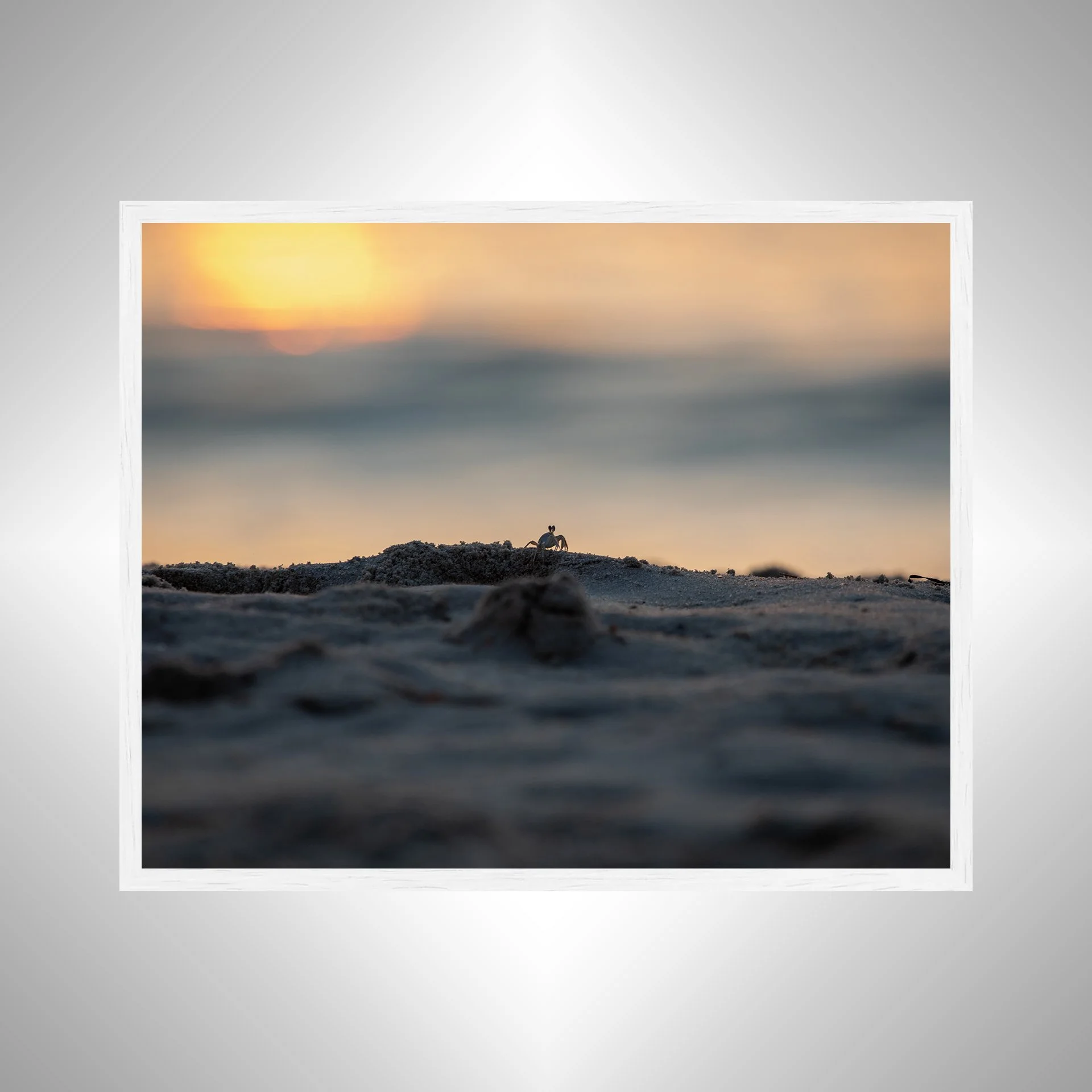 1:1 Ghost Crab Watching Sunrise in Duck, NC- White Wood.jpg