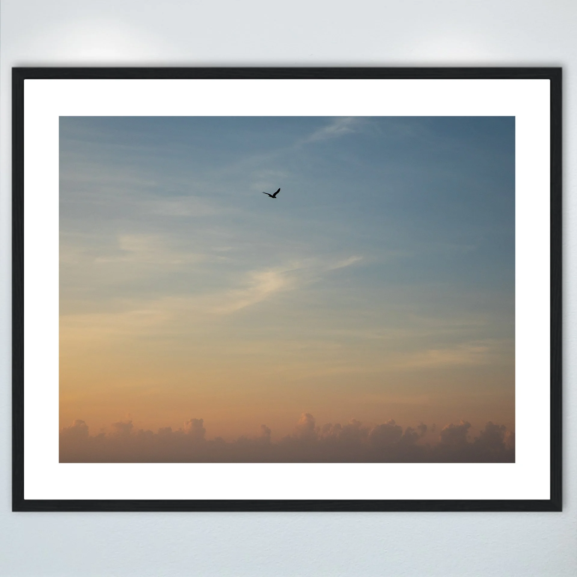 1:1 Seagull infront of Sunrise Clouds- Wood w: Border.jpg