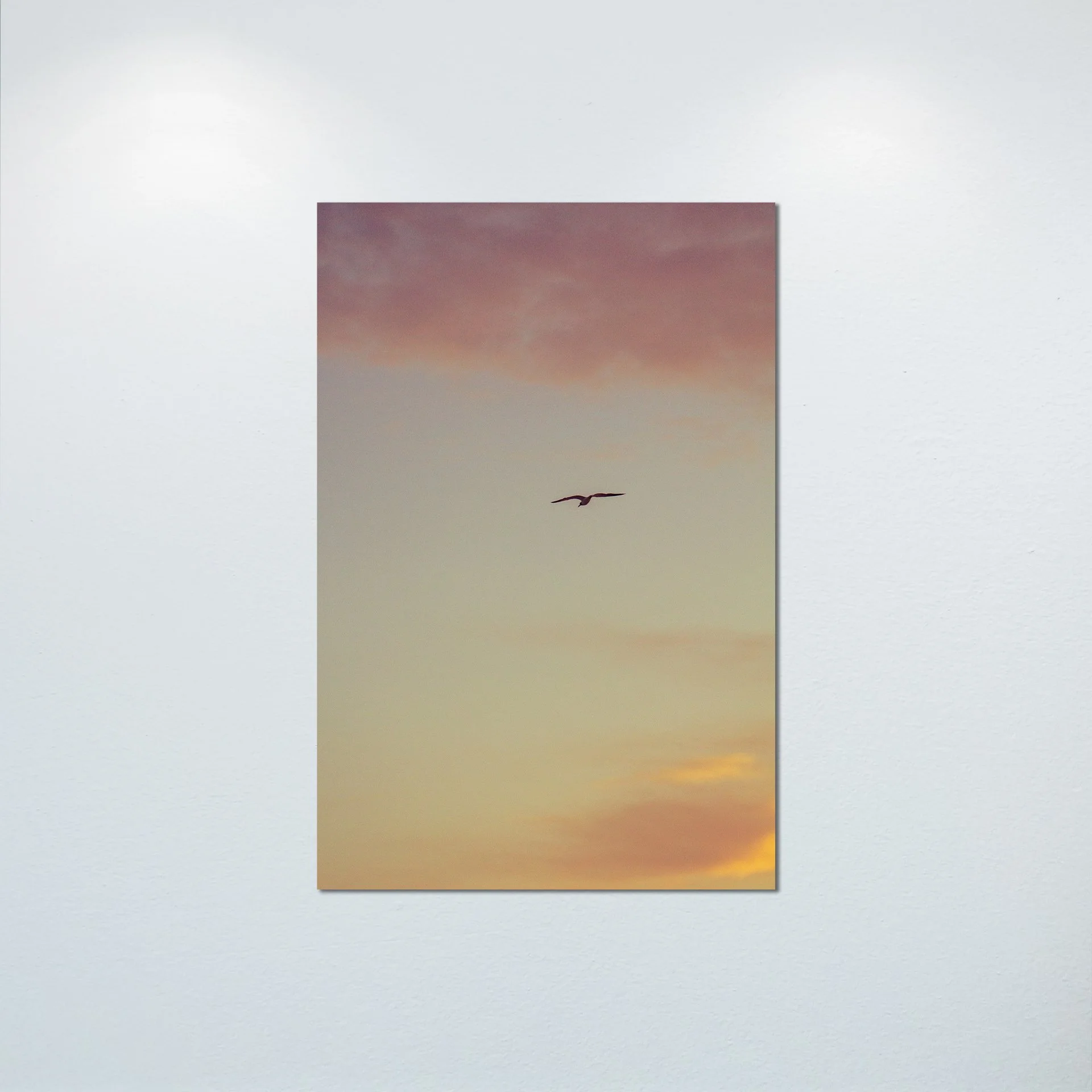 1:1 Seagull Soaring towards Pink & Orange Clouds- Poster & Canvas.jpg