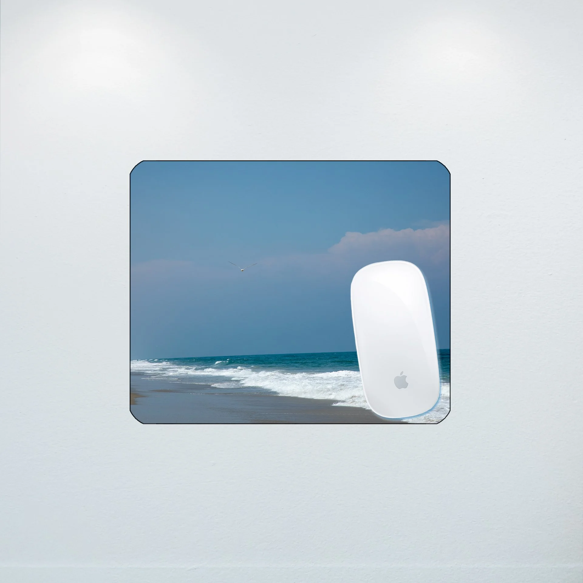 1:10 Seagull in Carova- Mouse Pad.jpg