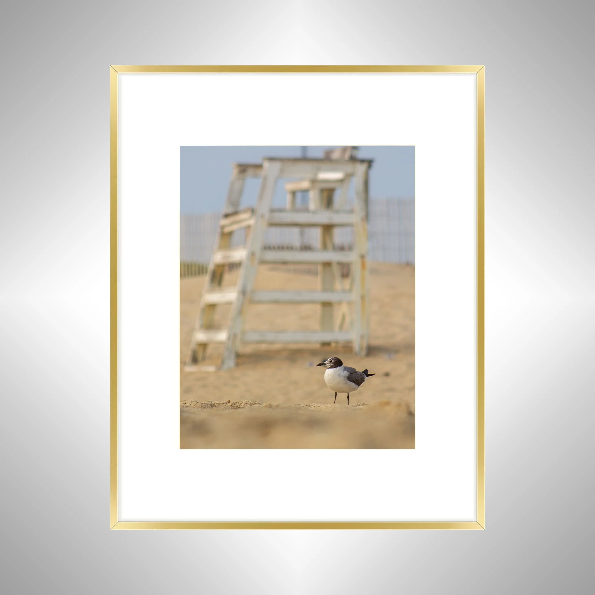 1:1 Lifeguard Gull- Gold Metal w: Border.jpg