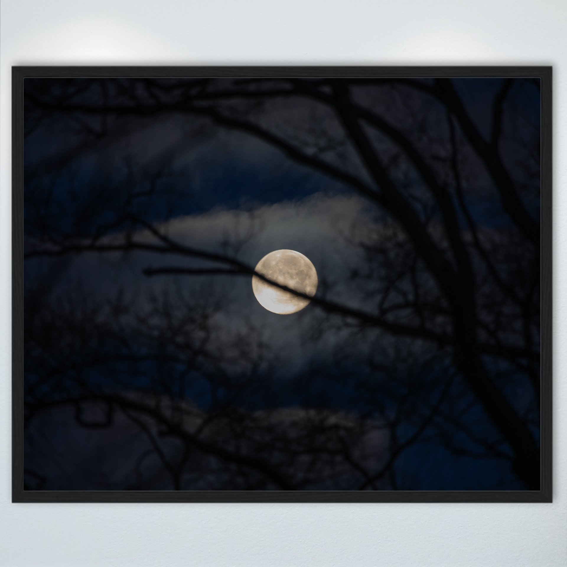1:1 Moon thru Tree Branches- Wood.jpg