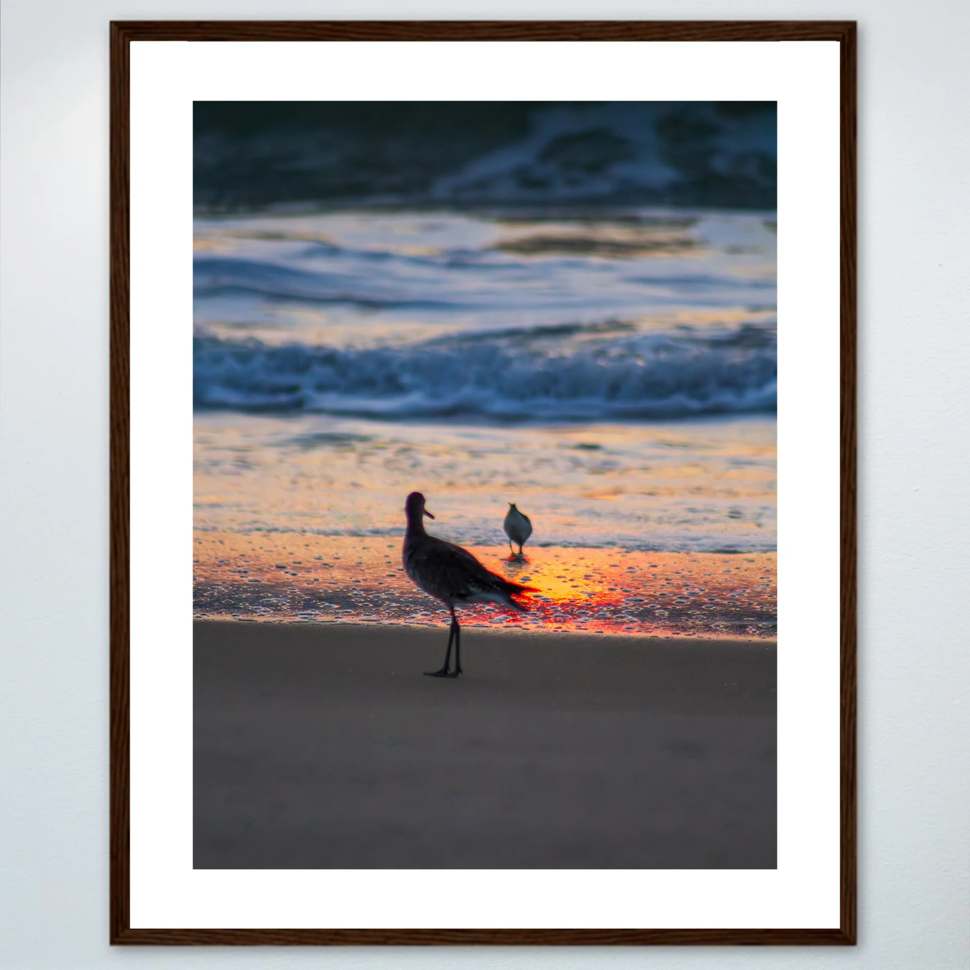 1:1 Willets at Sunrise- Wood w: Border.jpg