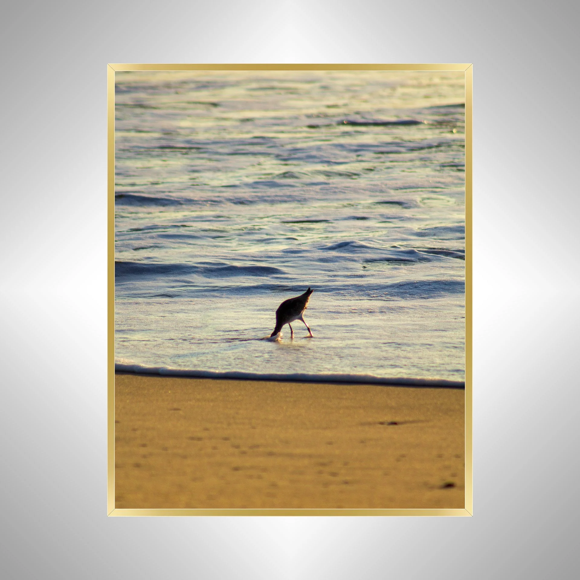 1:1 Willet Hunting- Gold.jpg