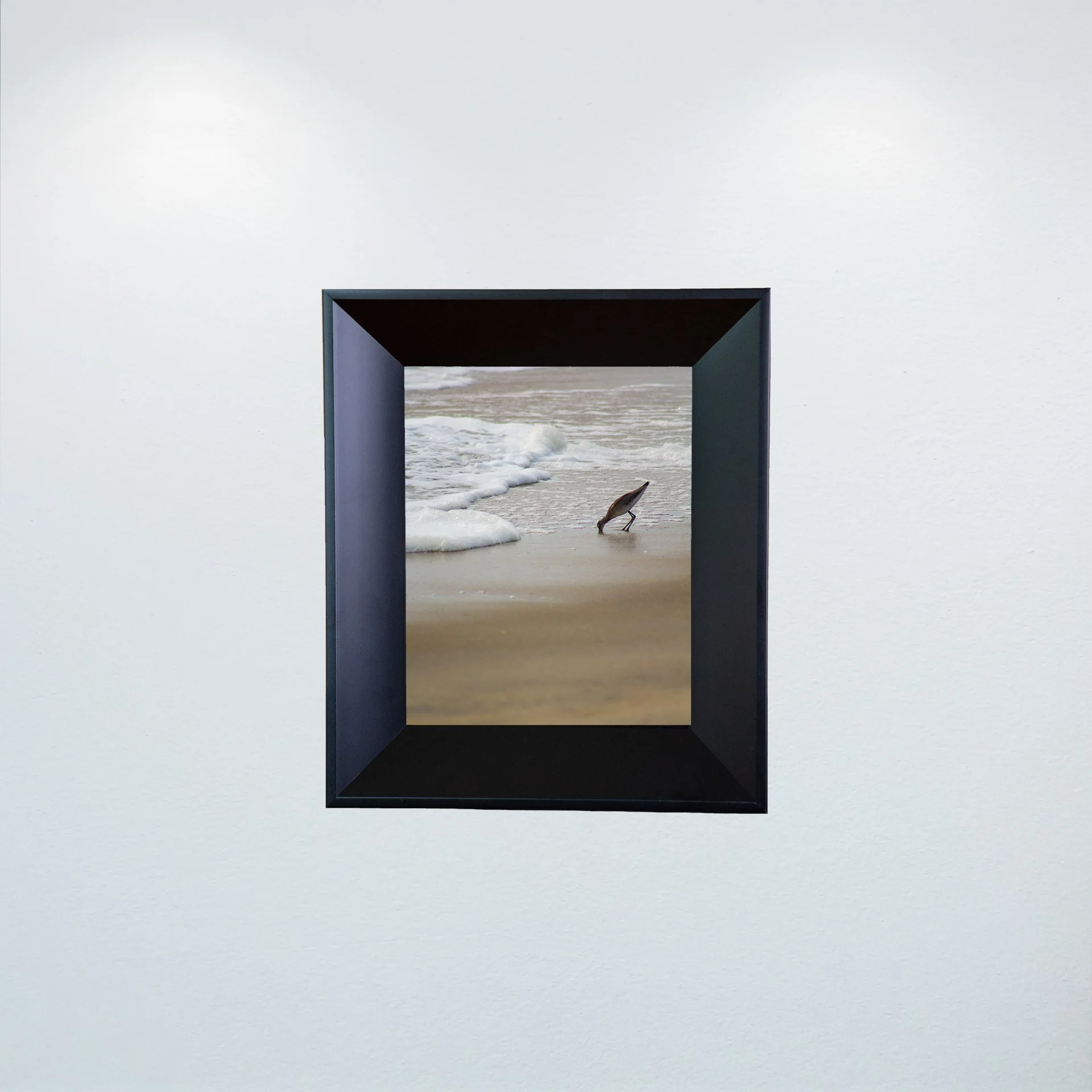 1:1 Willet at Beach Eating- Mini.jpg