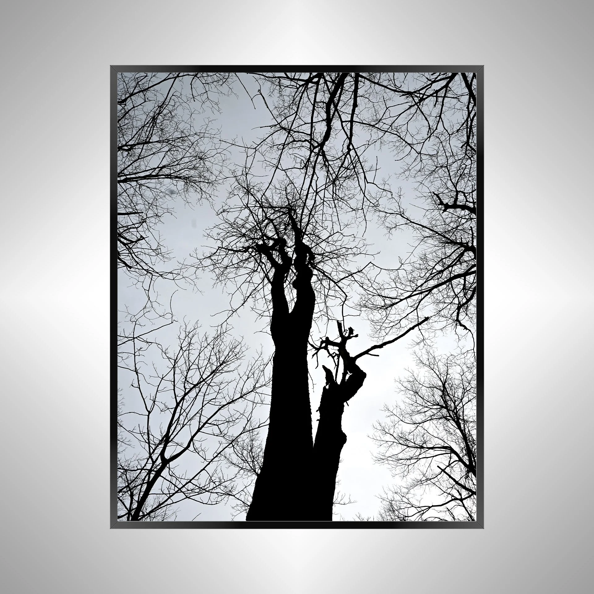1/1 Nellysford Tree Undershot