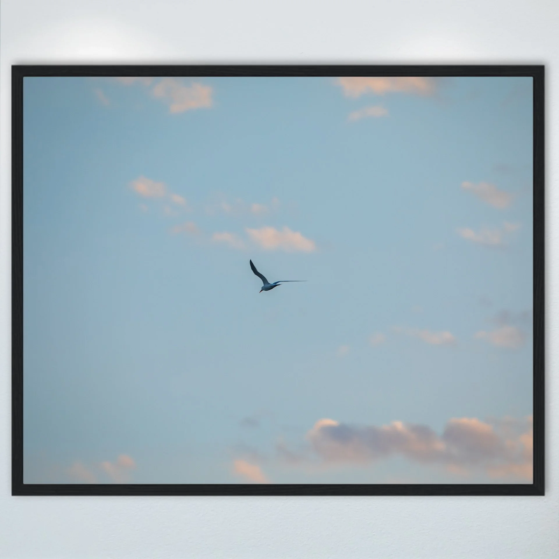 1:1 Seagull + Pink Clouds- Wood.jpg
