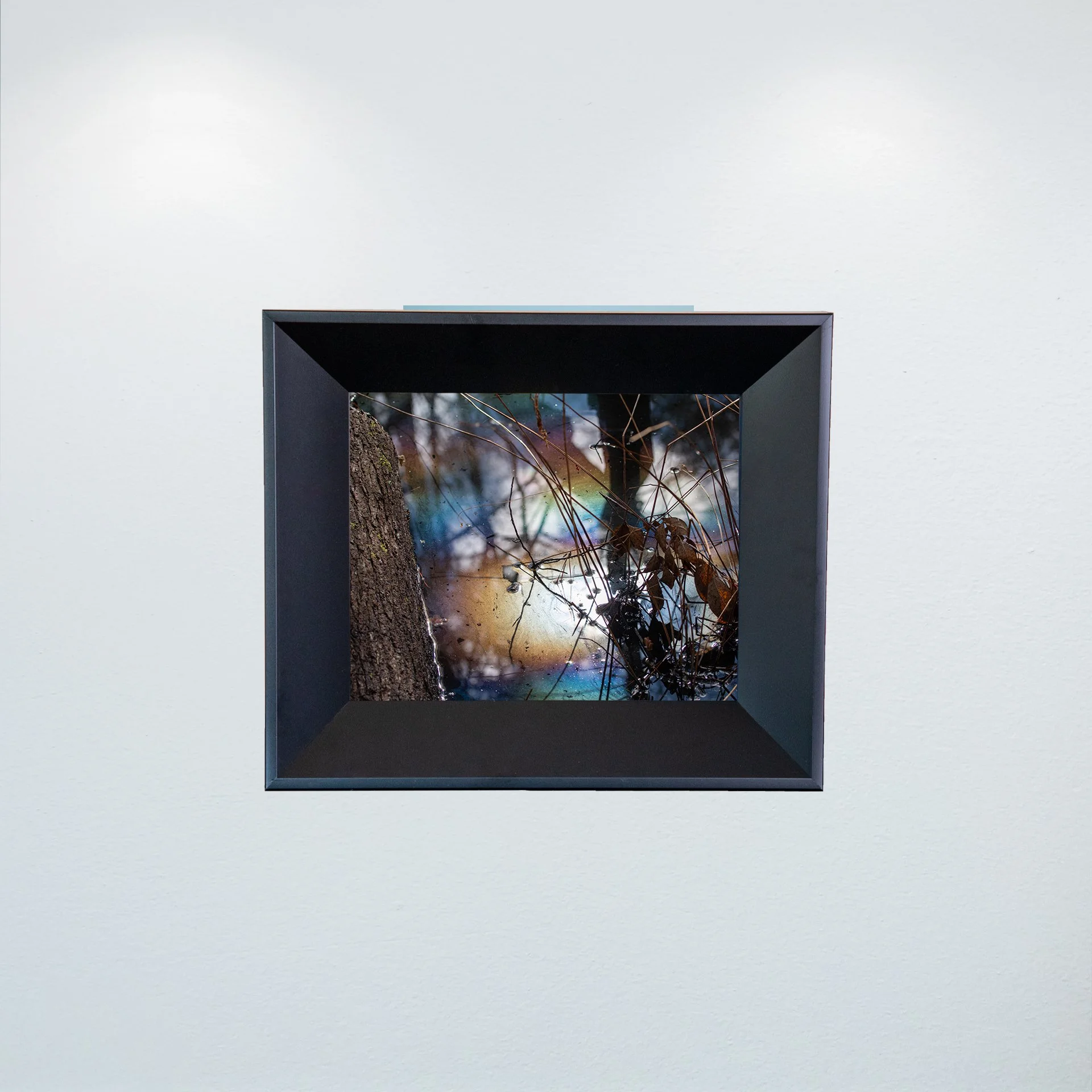 1:1 Rainbow Water at First Landing- Mini.jpg