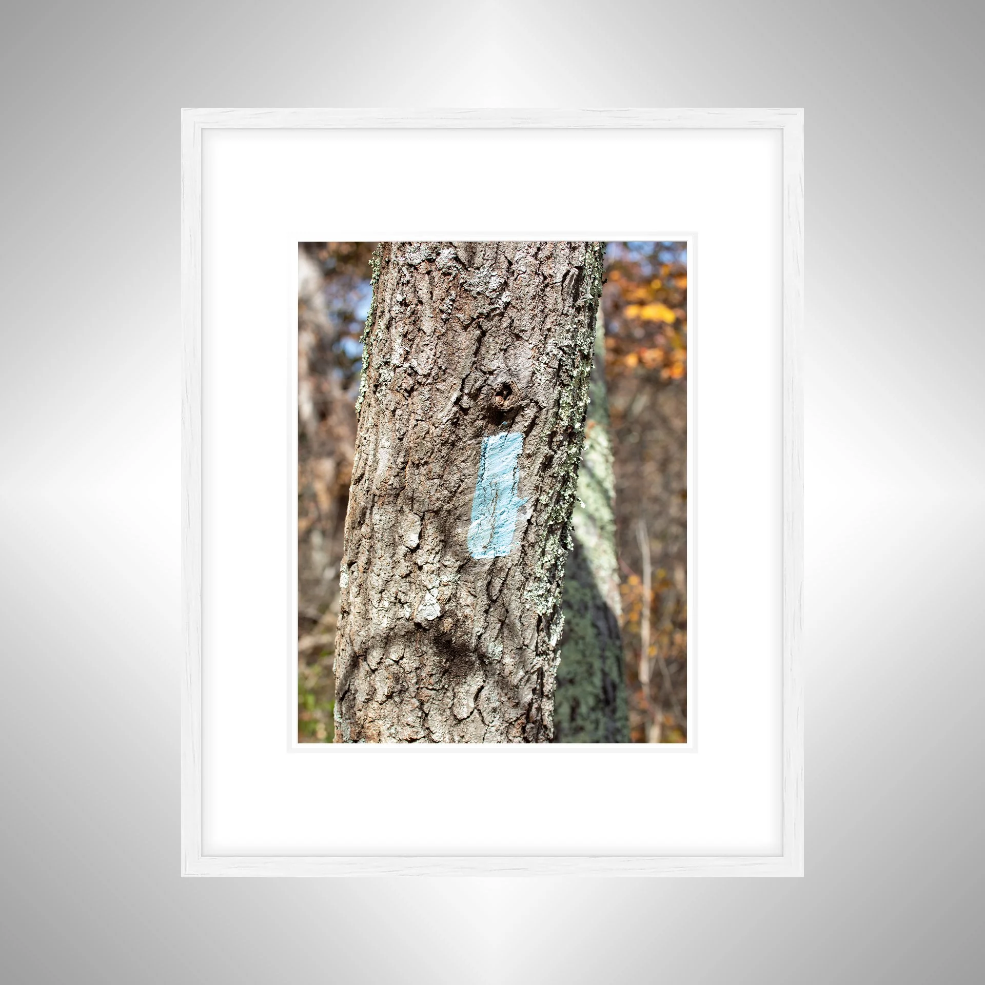 1:10 Appalachian Trail Blaze- White w: Border.jpg